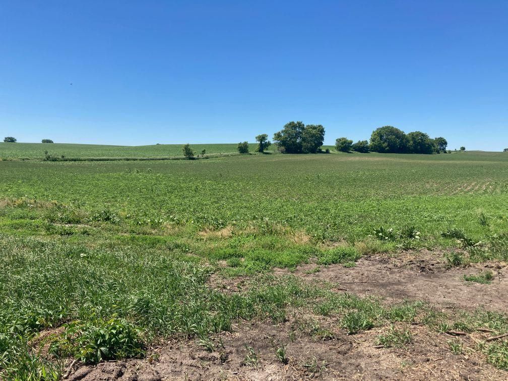 Elizabeth, Otter Tail County, MN Recreational Property, Undeveloped