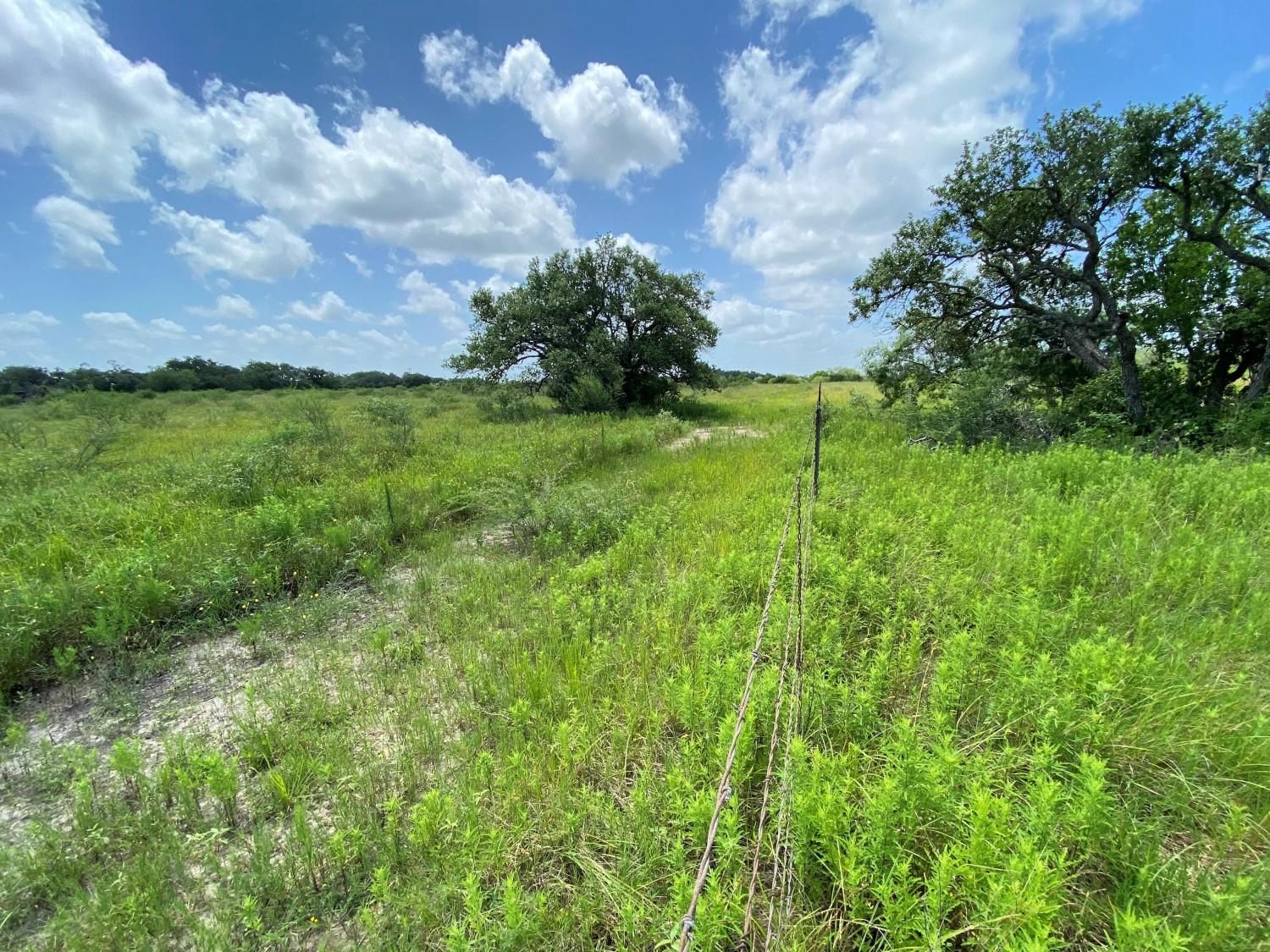 168 acres in Refugio, TX, 78377 LandWatch