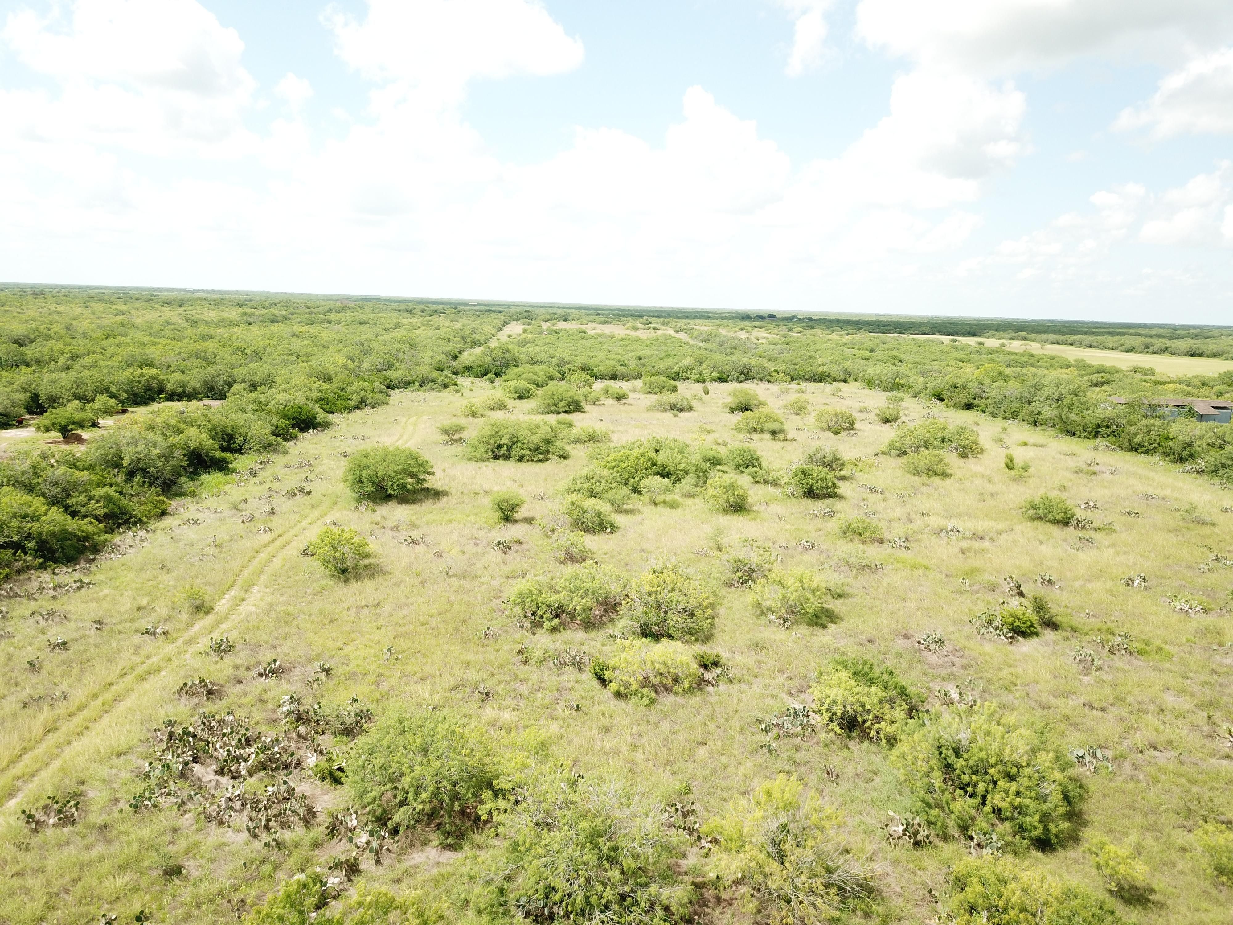 Farm to Market Road 735, Palito Blanco, TX 78332 LandWatch
