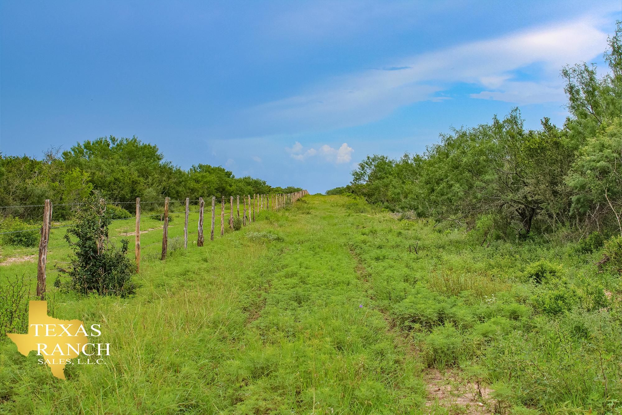 80 acres in Benavides, TX, 78341 LandWatch