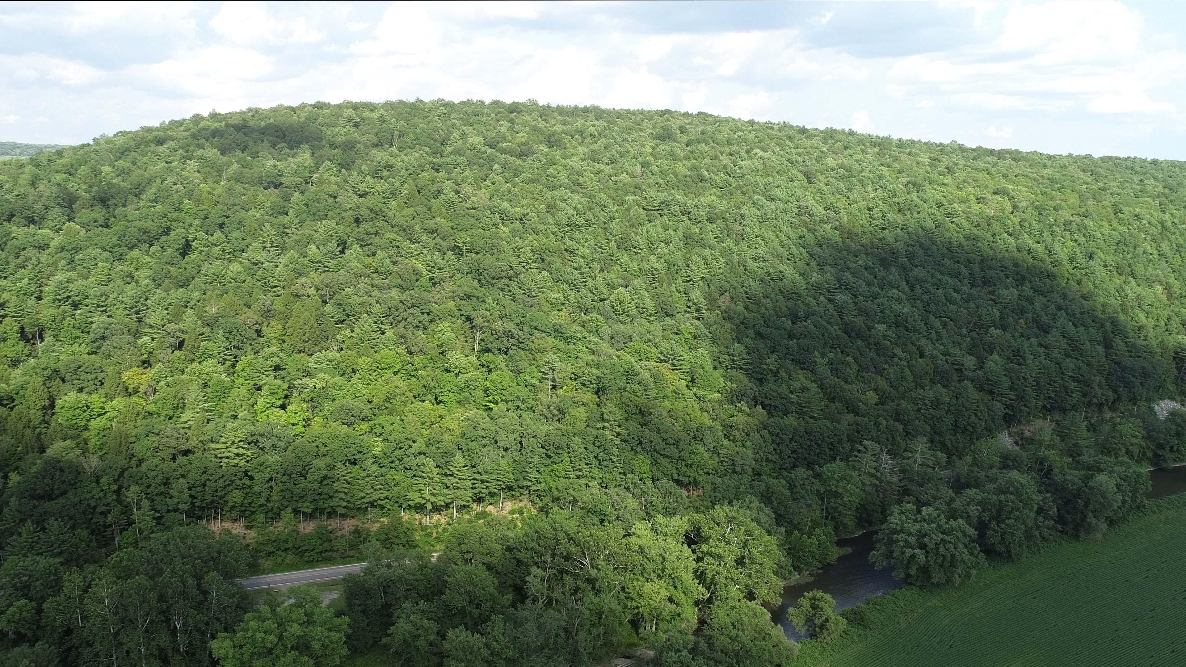 Chenango Forks, Broome County, NY Recreational Property, Undeveloped