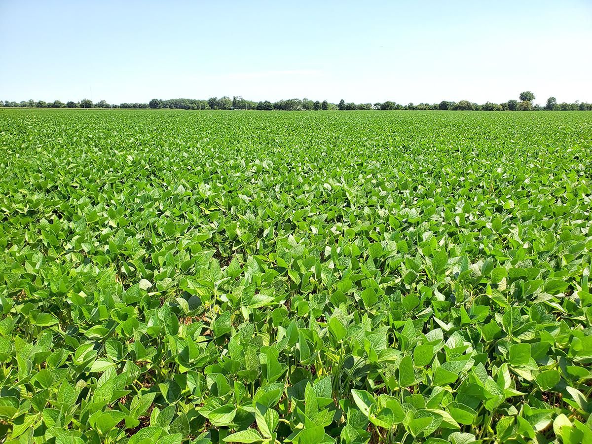 Sandusky, Erie County, OH Farms and Ranches for sale Property ID