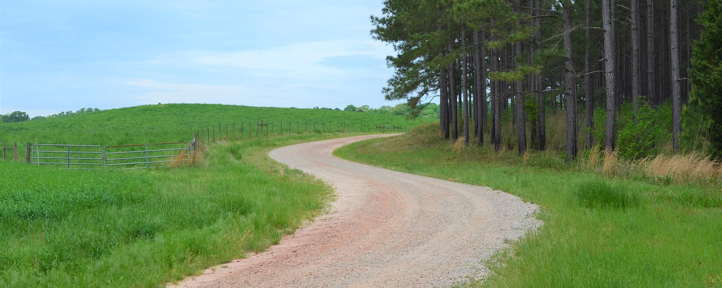 Shady Dale, Jasper County, GA Recreational Property, Timberland