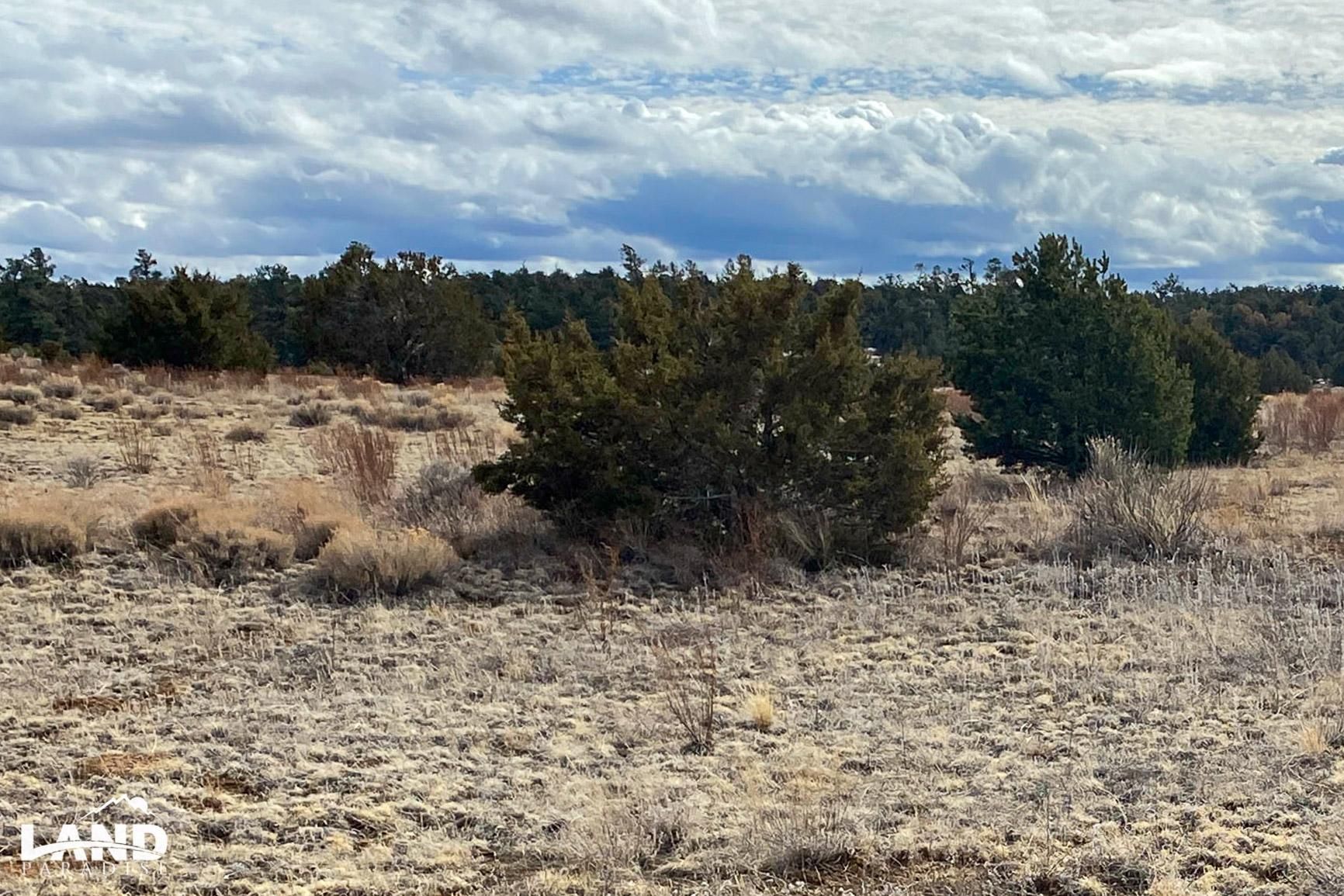 Ramah, Cibola County, NM Recreational Property, Undeveloped Land