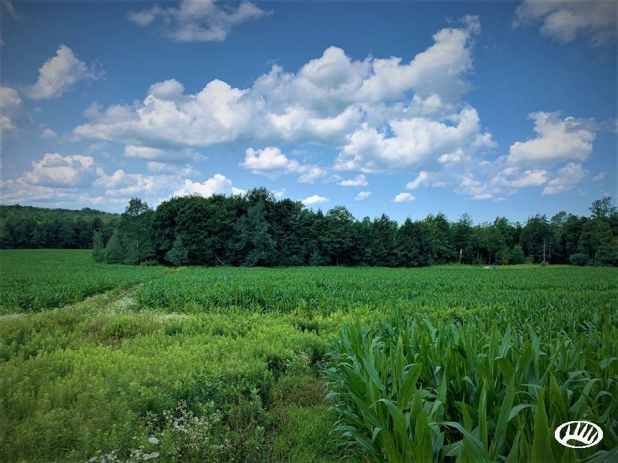 Cherry Creek, Chautauqua County, NY Recreational Property, Timberland