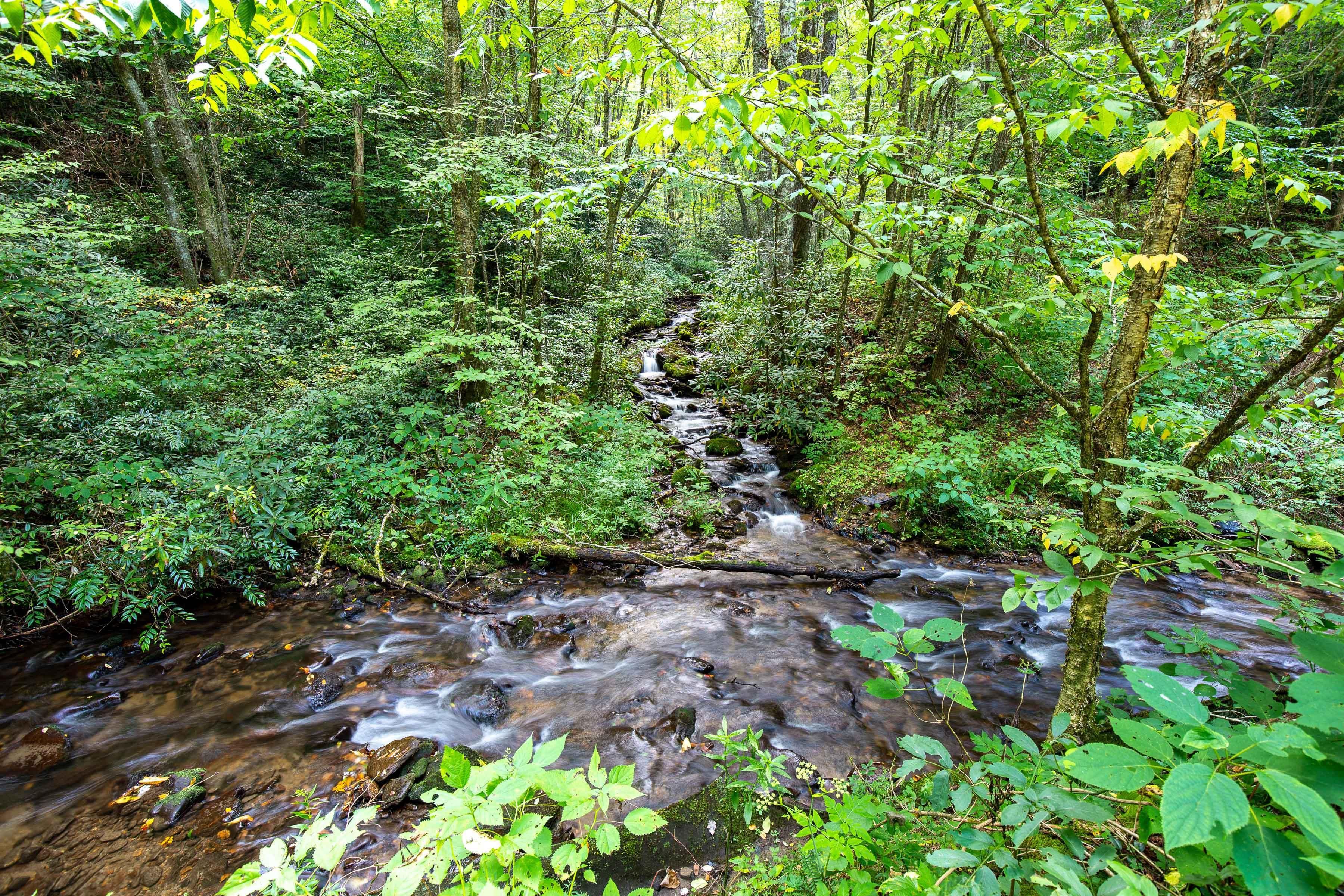 Cabin Flats Road, Balsam, NC 28707 MLS 3210919007 LandWatch
