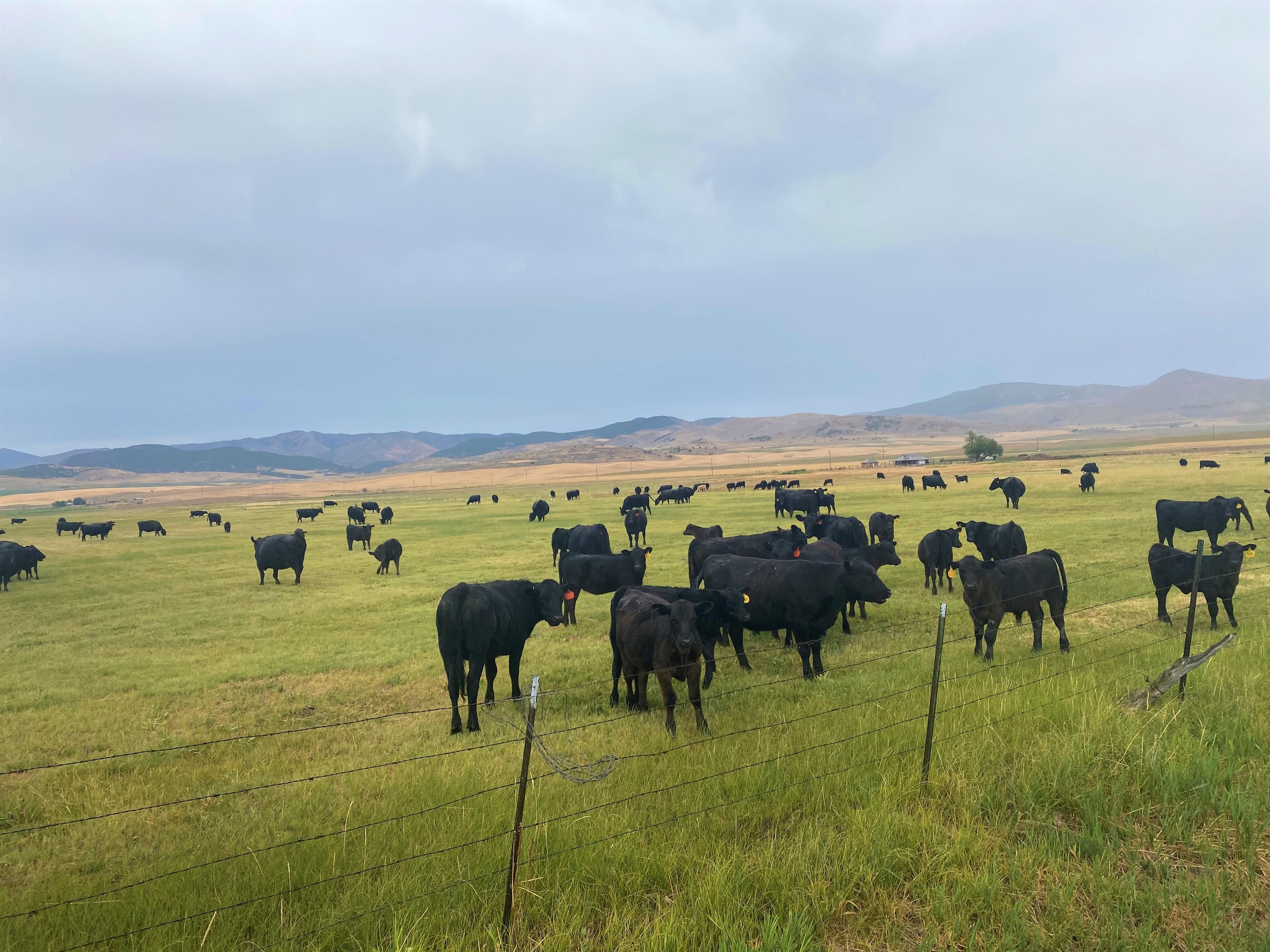 Swanlake, Bannock County, ID Farms and Ranches, Recreational Property