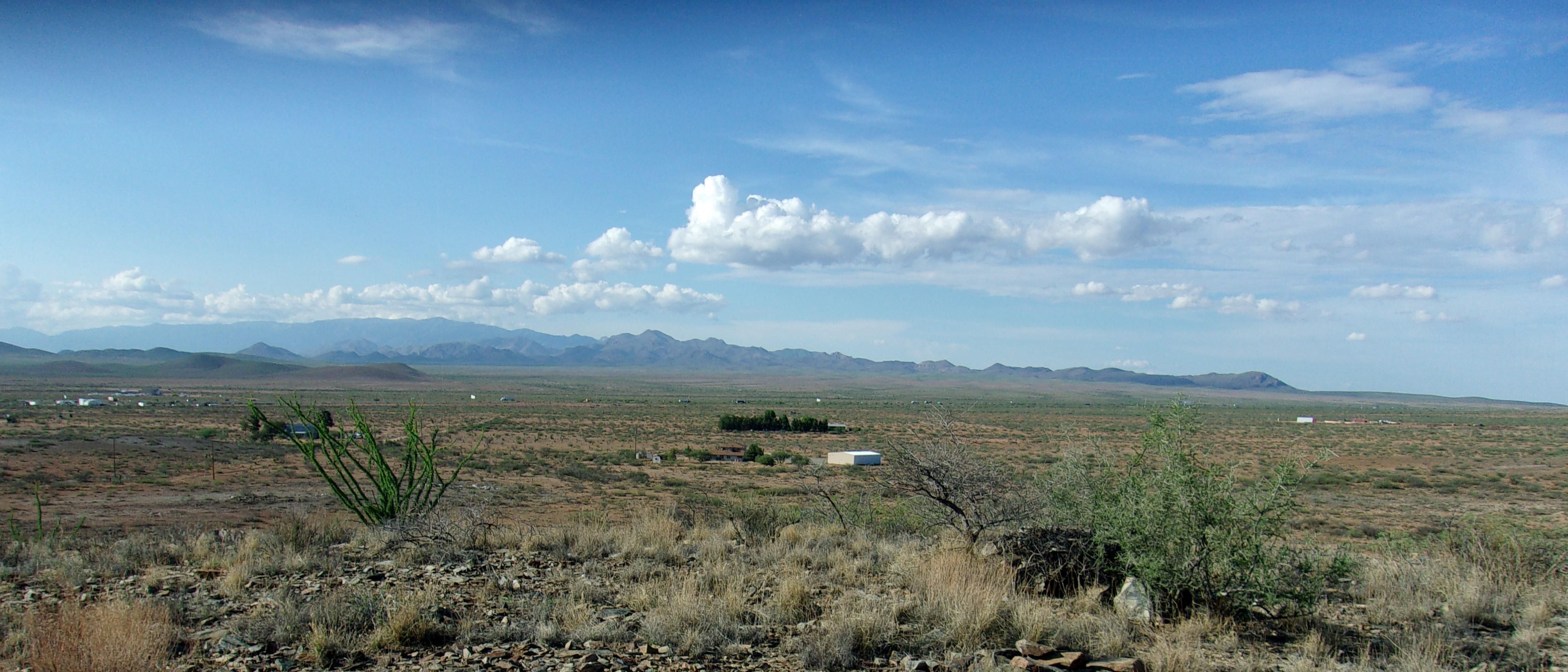 Willcox, Cochise County, AZ Undeveloped Land, Horse Property for sale Property ID 411198467
