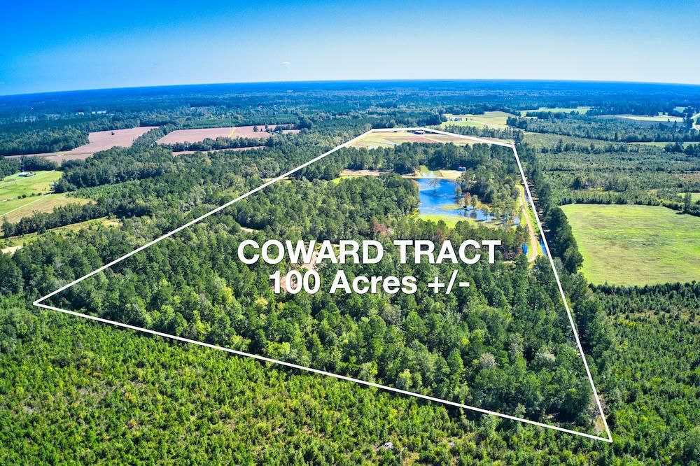 Coward, Florence County, SC Recreational Property, Hunting Property for