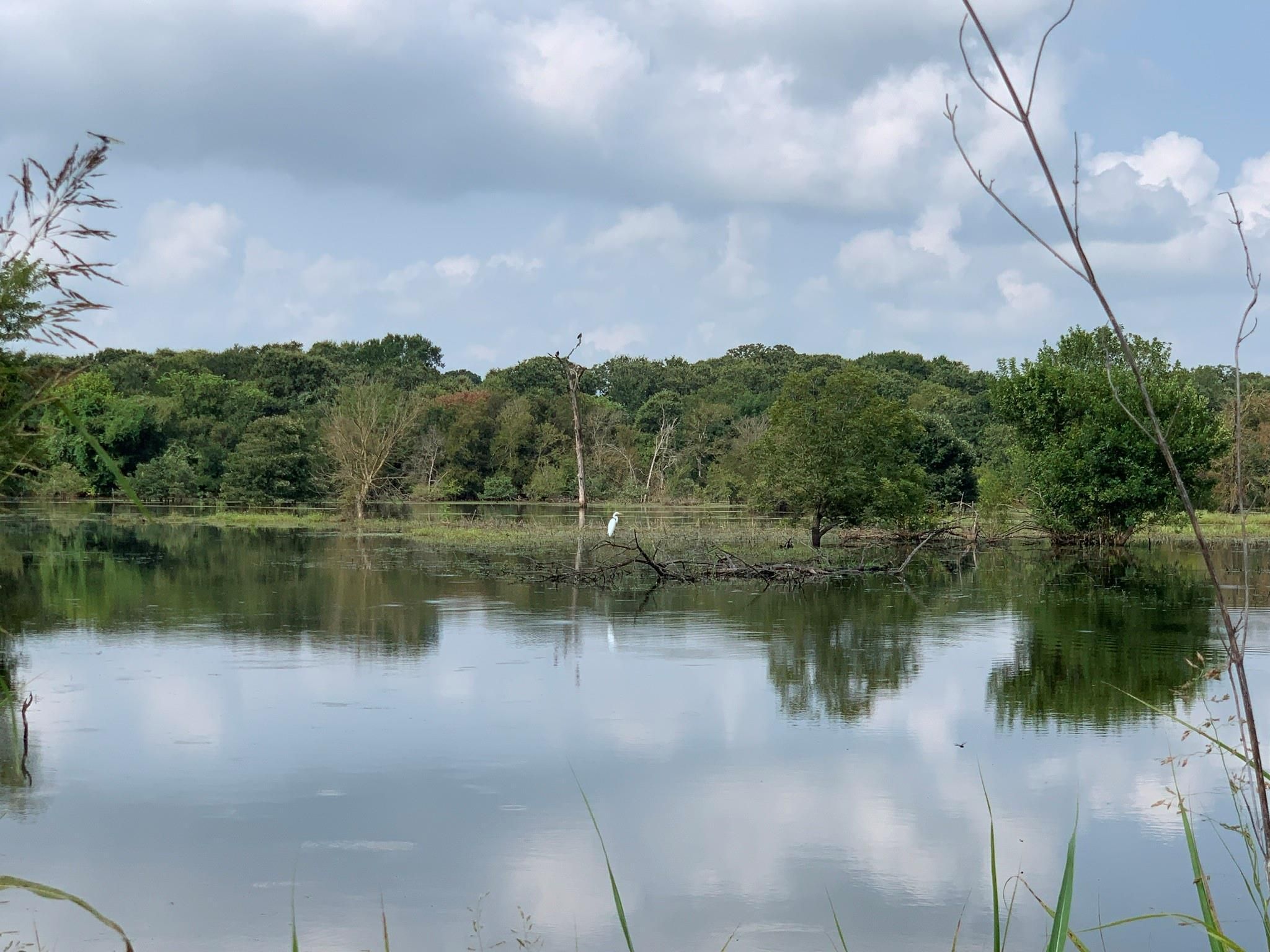 Covington, Hill County, TX Hunting Property for sale Property ID