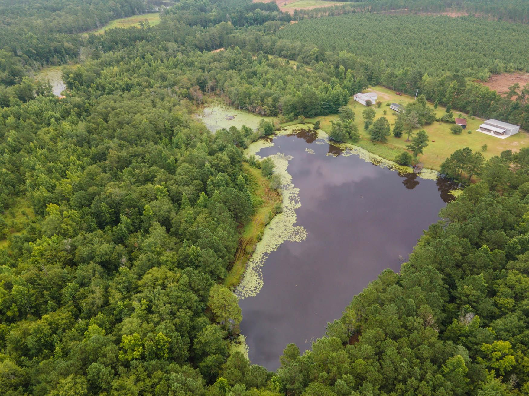 Rocky Ford, Screven County, GA Recreational Property, Hunting Property