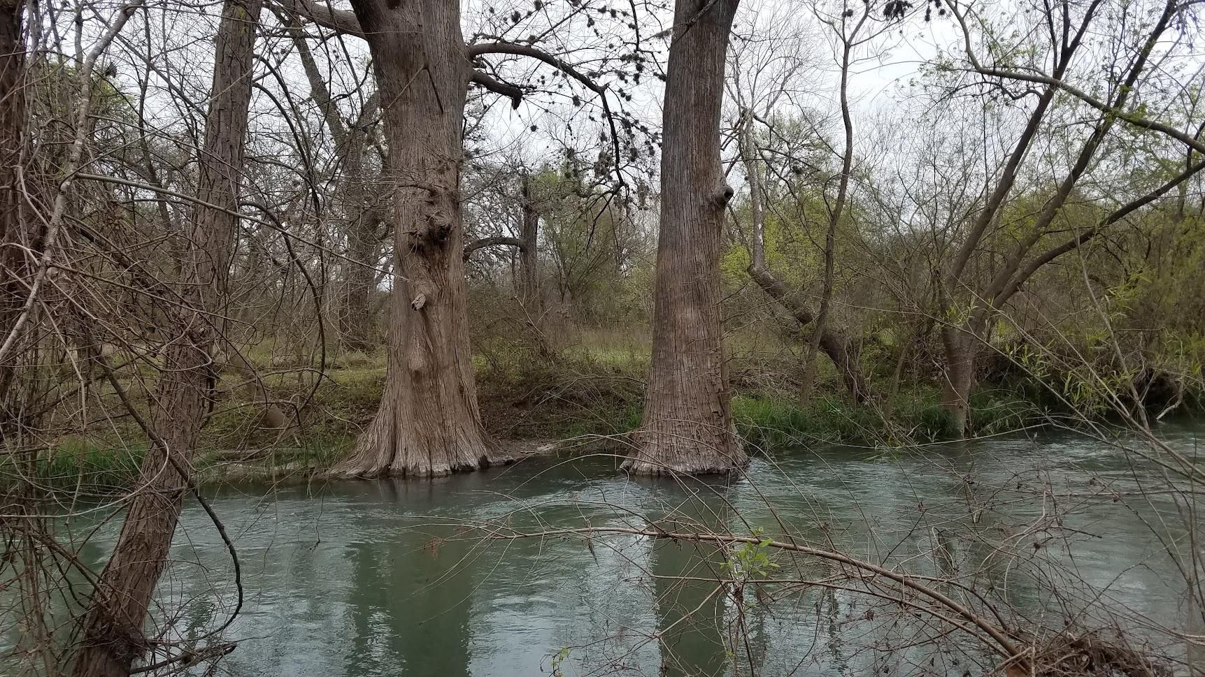 8522 Montgomery Road, San Antonio, TX 78252 LandWatch