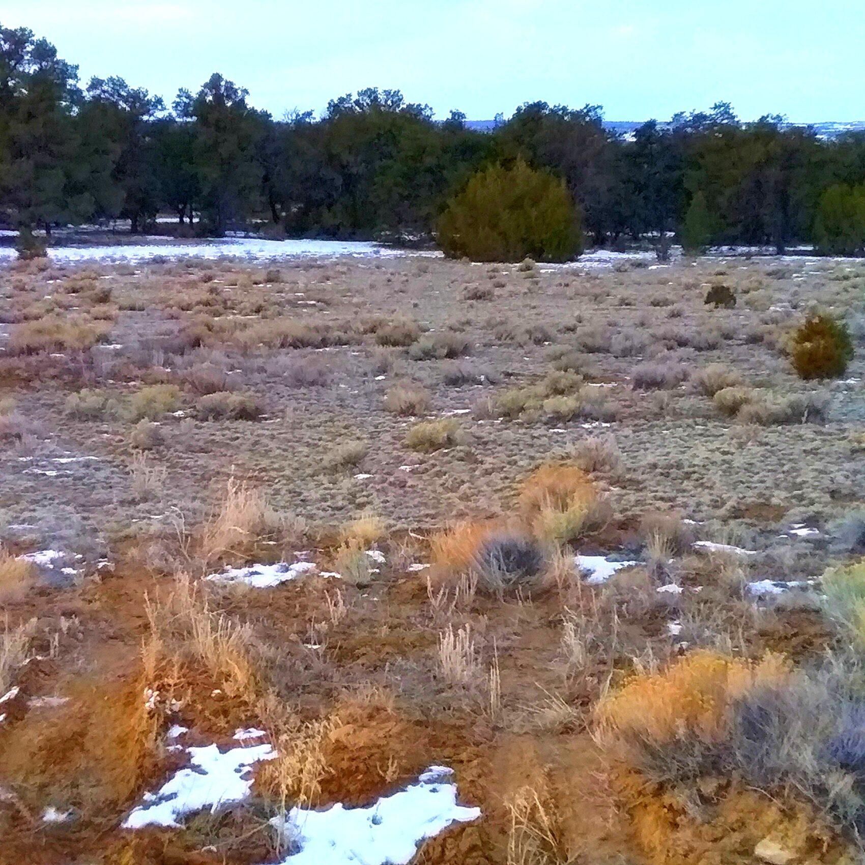 Pinehill, Cibola County, NM Recreational Property, Hunting Property for