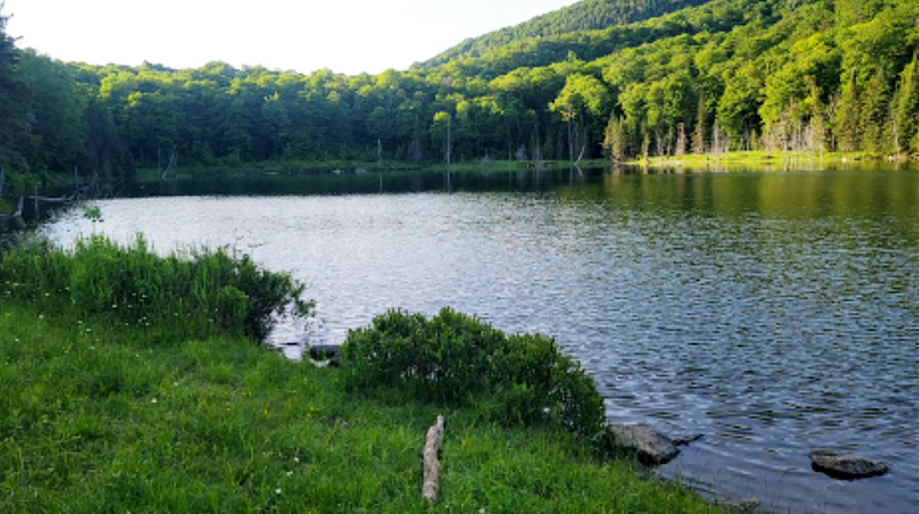 Sutton, Caledonia County, VT Recreational Property, Undeveloped Land