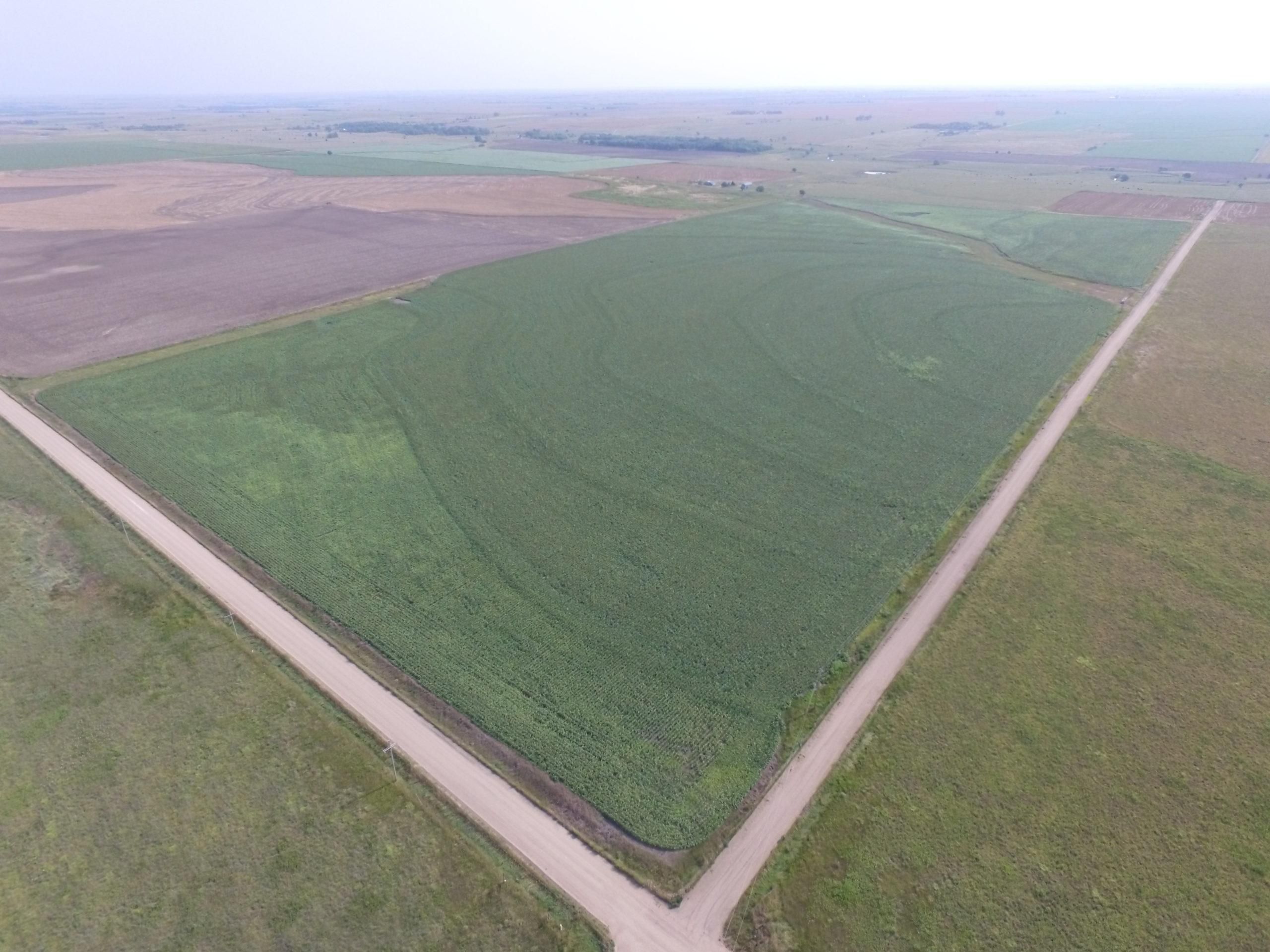 Otis, Rush County, KS Farms and Ranches, Hunting Property for sale