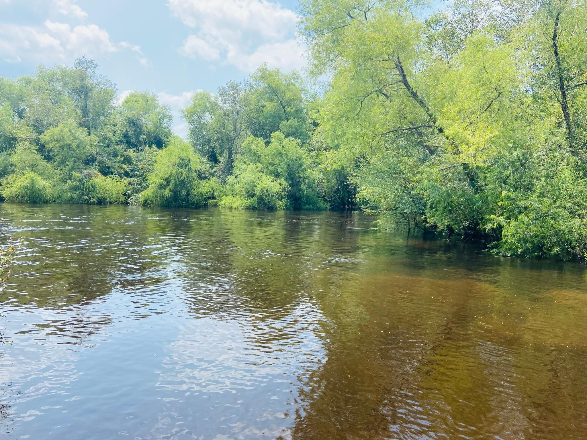 Brooklet, Bulloch County, GA Recreational Property, Undeveloped Land
