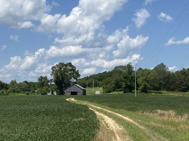 520 Liberty Church Rd, Burkesville, KY 42717 LandWatch