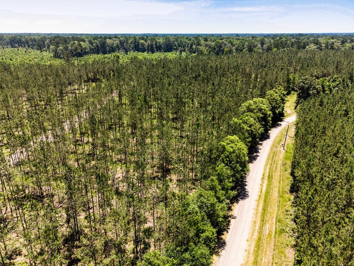 Pine Grove, Saint Helena Parish, LA Recreational Property, Undeveloped