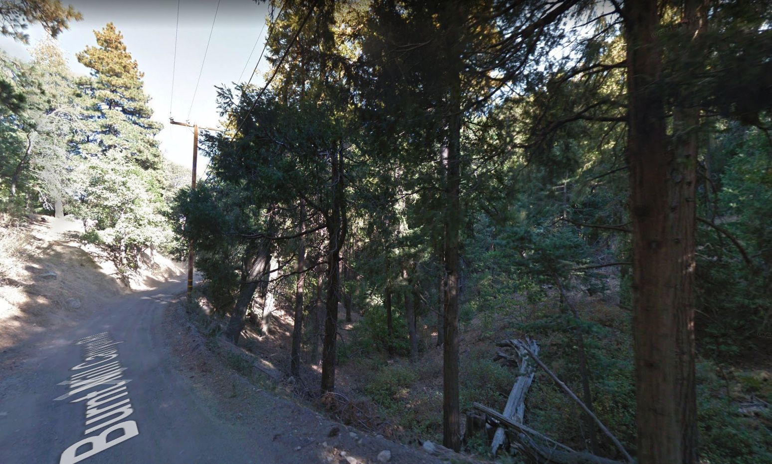 Cedarpines Park, San Bernardino County, CA Timberland Property