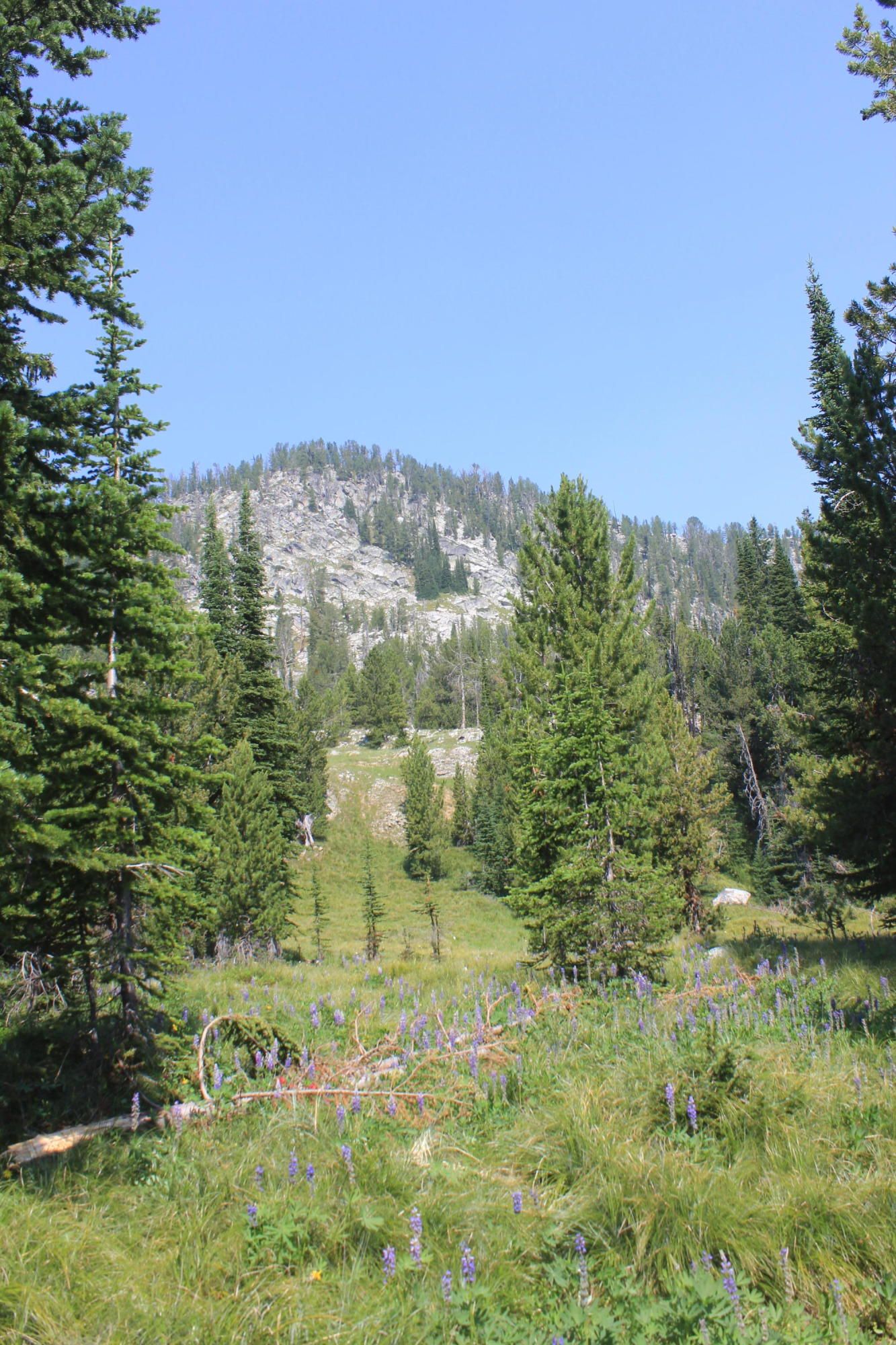 Philipsburg, Granite County, MT Undeveloped Land for sale Property ID