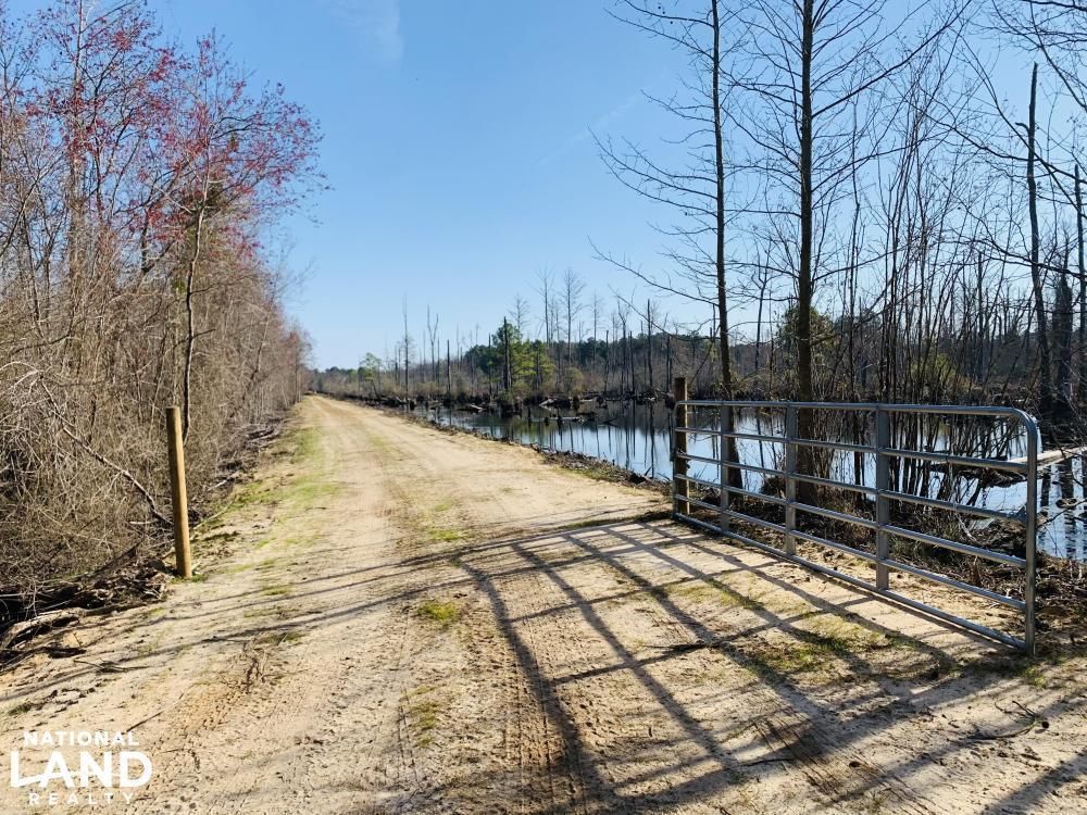 Bladenboro, Bladen County, NC Recreational Property, Timberland