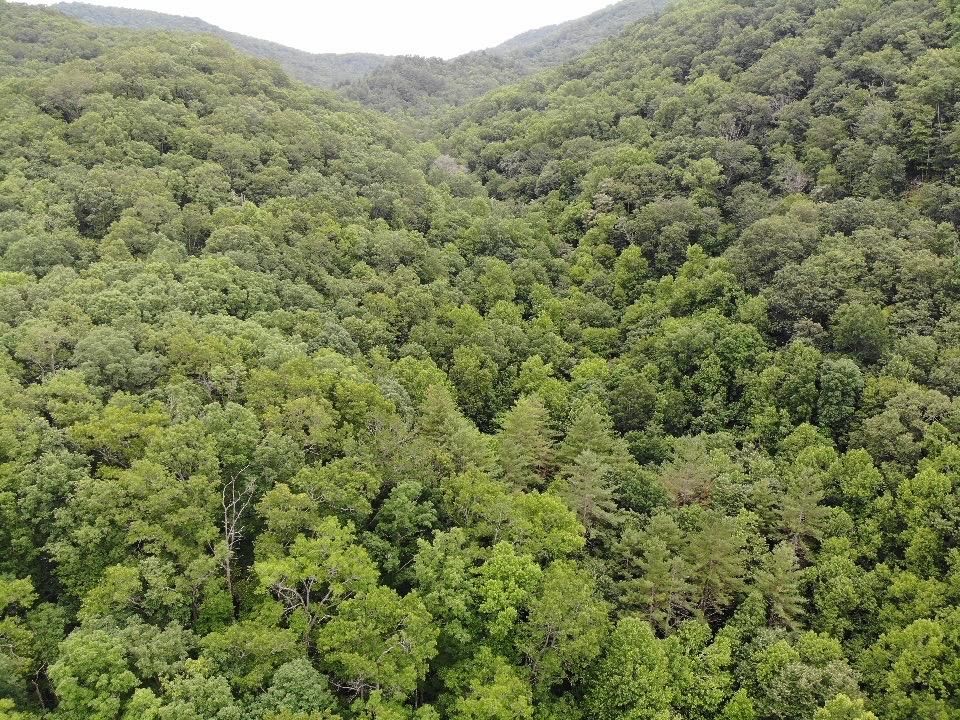 Hiawassee, Towns County, GA Recreational Property, Undeveloped Land