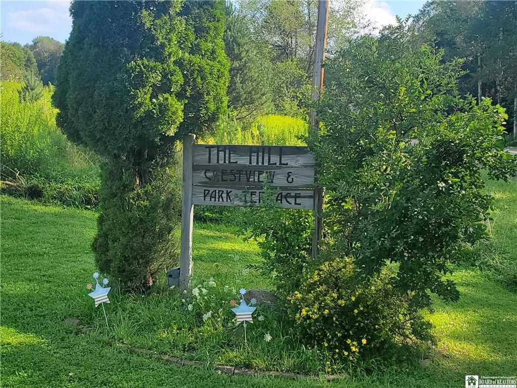 Cherry Creek, Chautauqua County, NY Undeveloped Land for sale Property