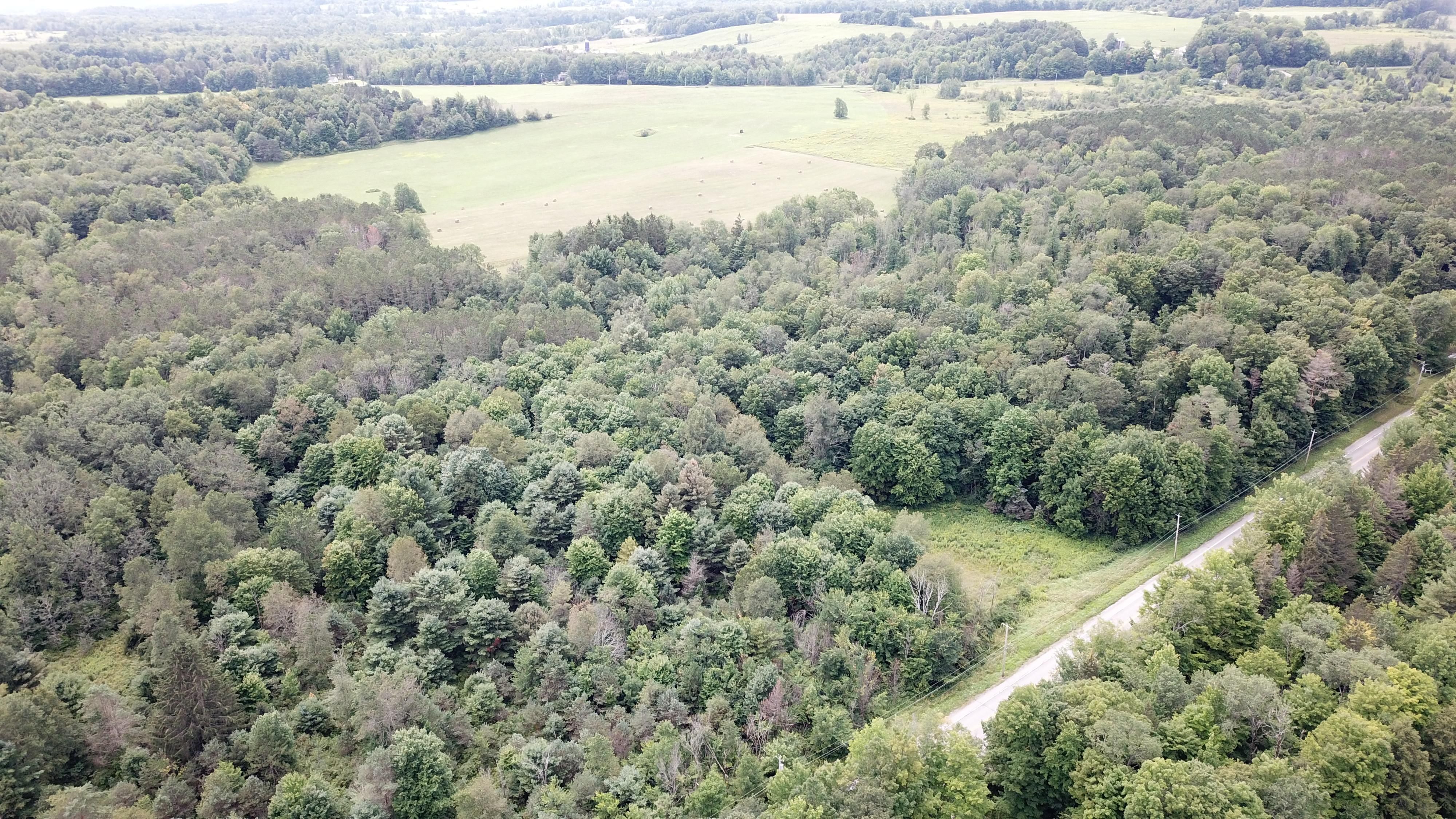 Salisbury Center, Herkimer County, NY Recreational Property