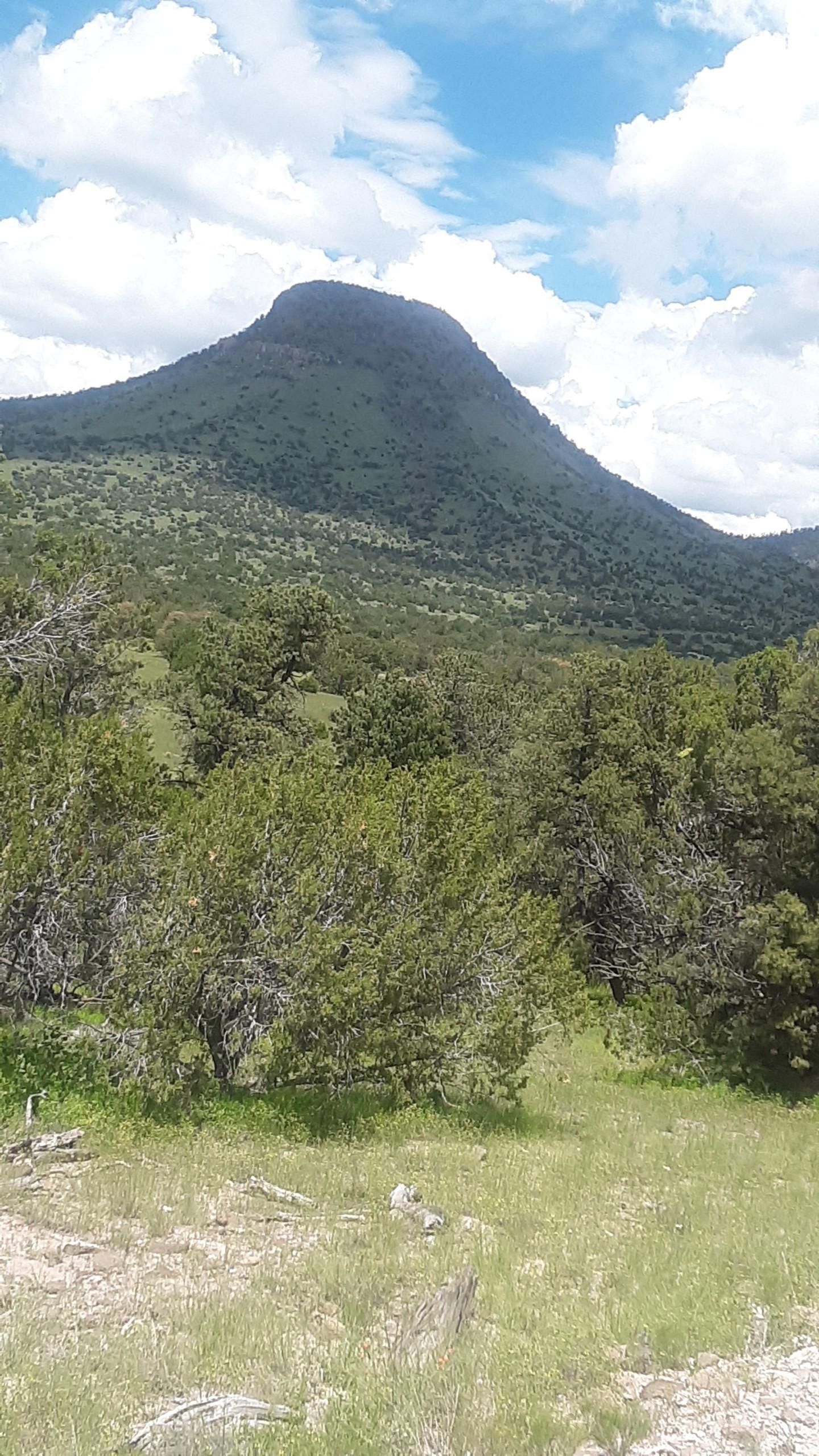 Jackrabbit Run, Datil, NM 87821 LandWatch