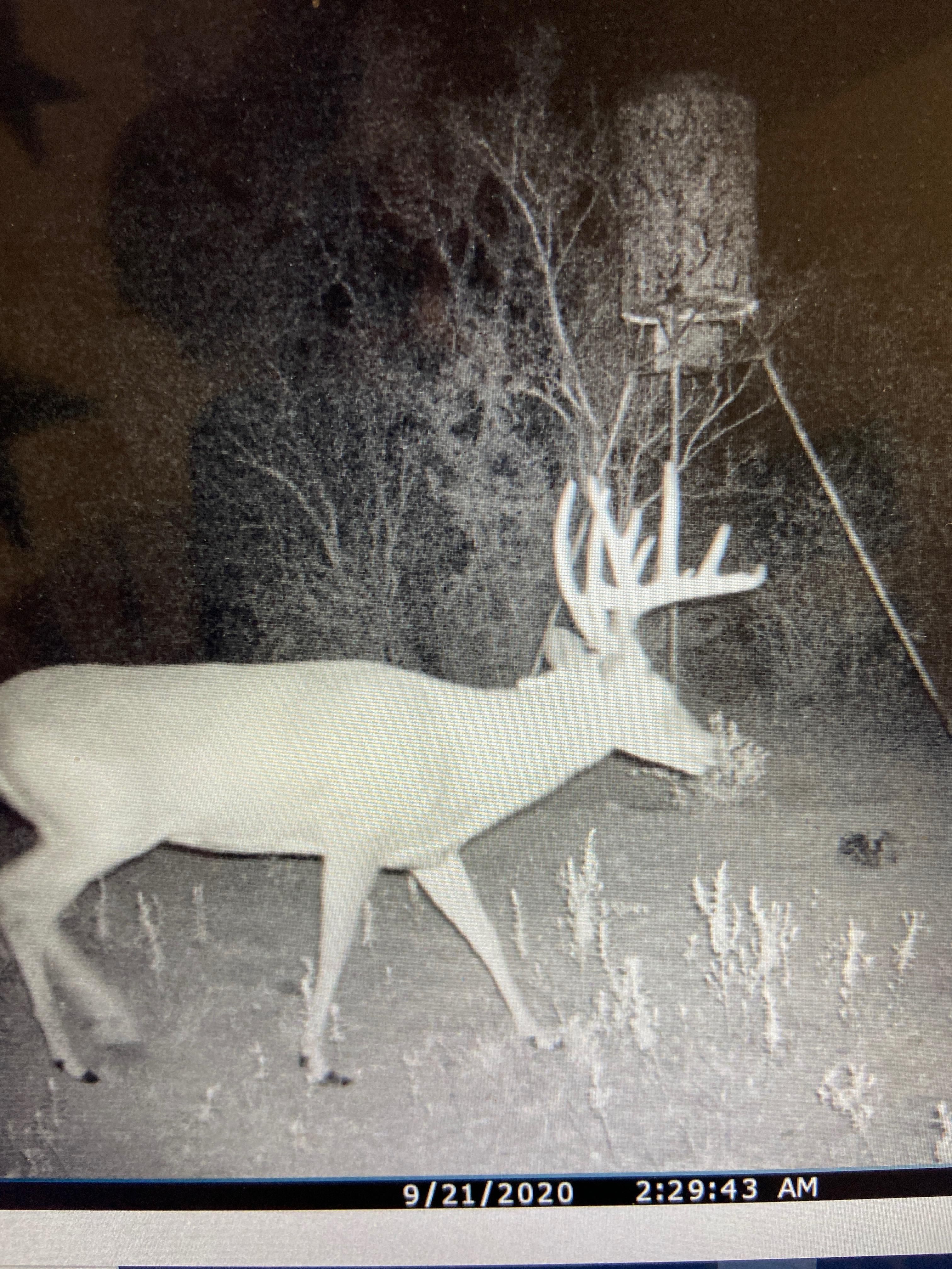 Uvalde, Uvalde County, TX Farms and Ranches, Recreational Property, Hunting Property for sale