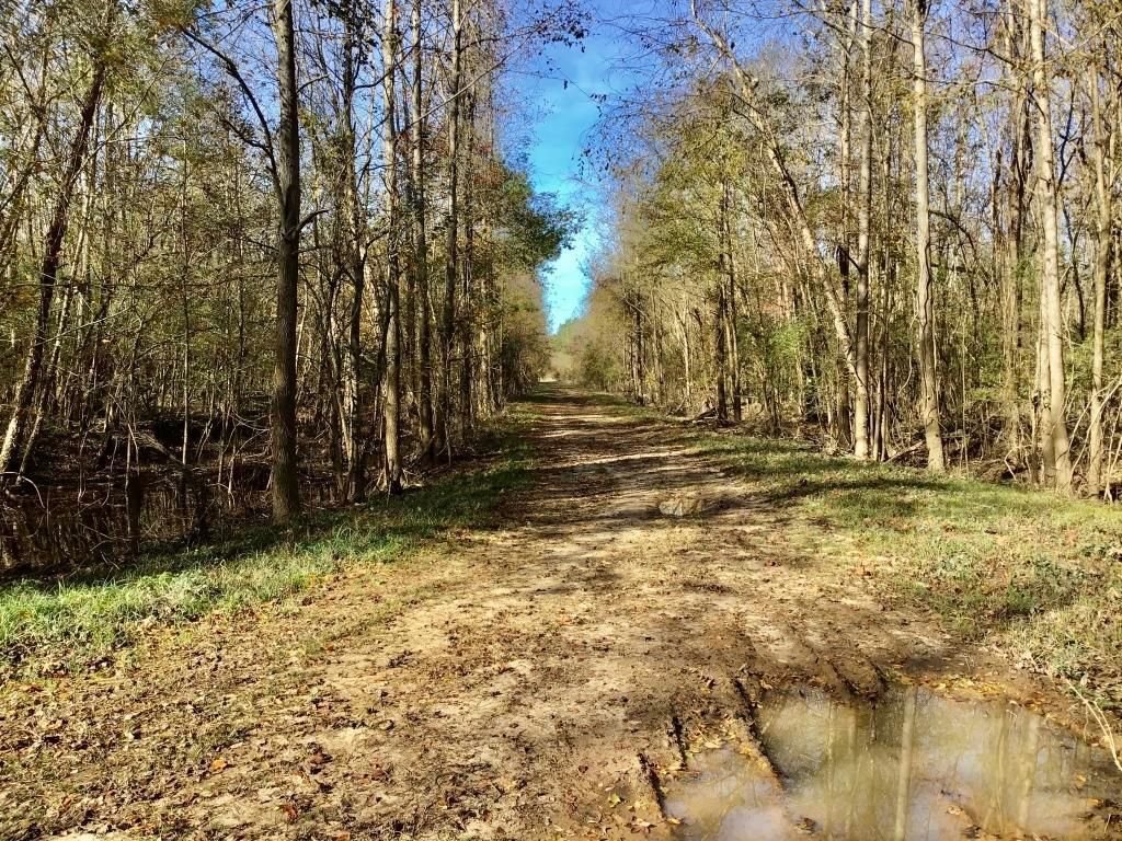 Riegelwood, Columbus County, NC Recreational Property, Hunting Property