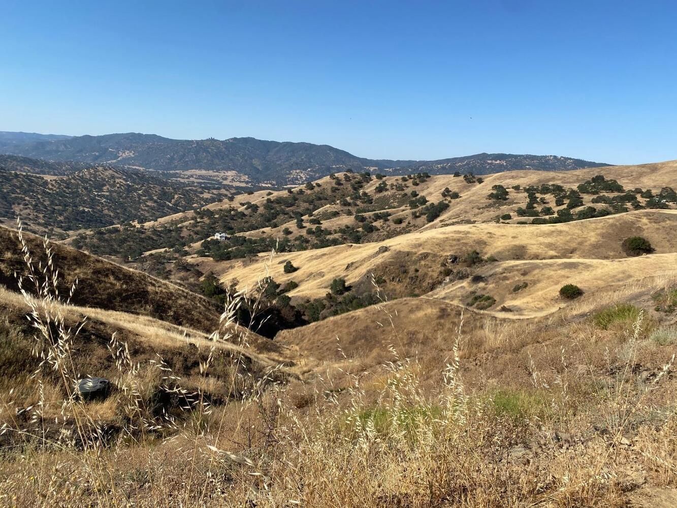 26 Panoche Road, Paicines, CA 95043 MLS 81848123 LandWatch