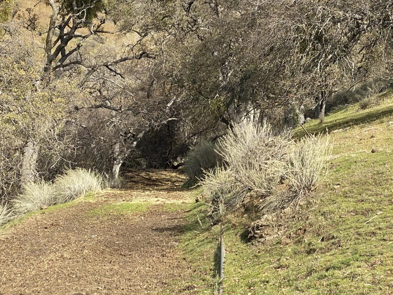 19967 Panoche Road, Paicines, CA 95043 MLS 81814605 LandWatch