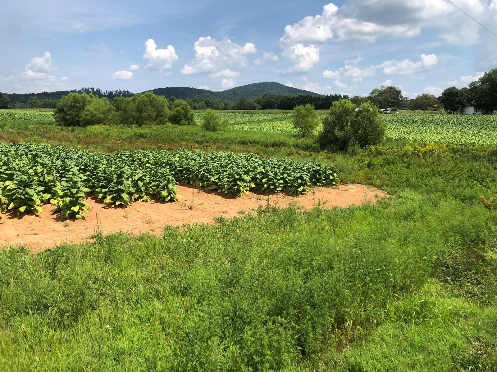 Hiddenite, Alexander County, NC Farms and Ranches, Undeveloped Land for