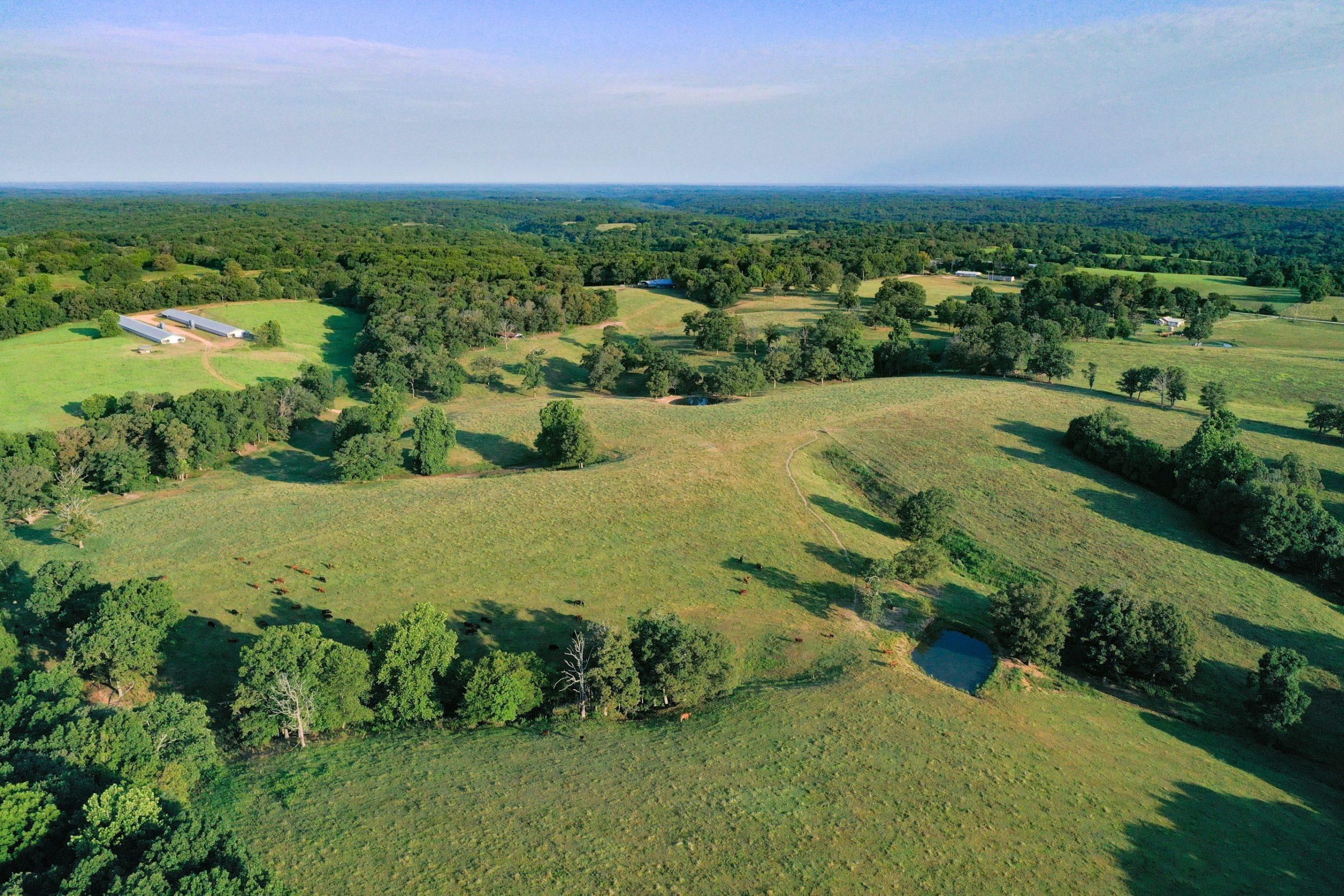 4615 Farm Road 2230, Washburn, MO 65772 LandWatch
