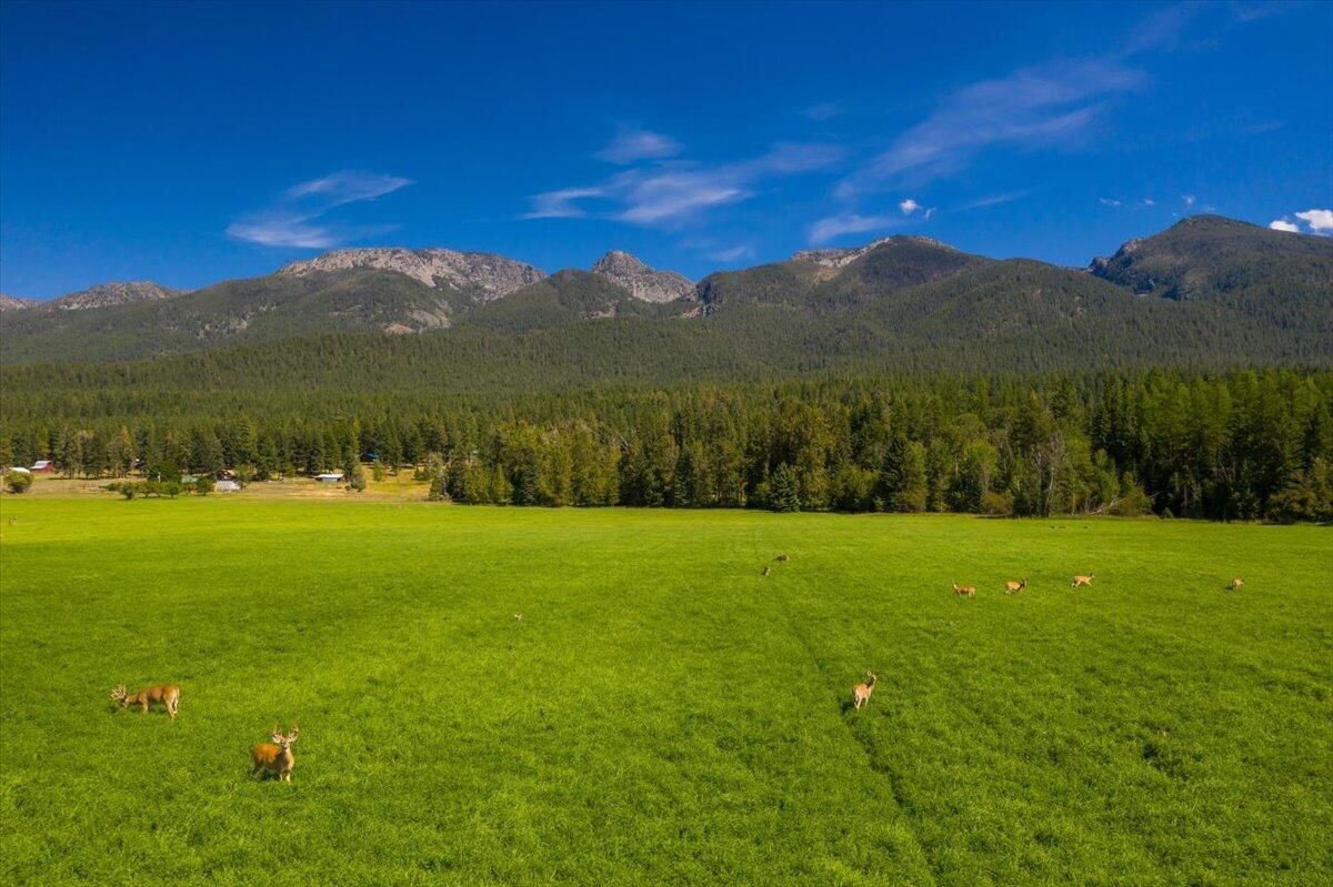 Polson, Lake County, MT Farms and Ranches, Horse Property, House for sale Property ID 411412894