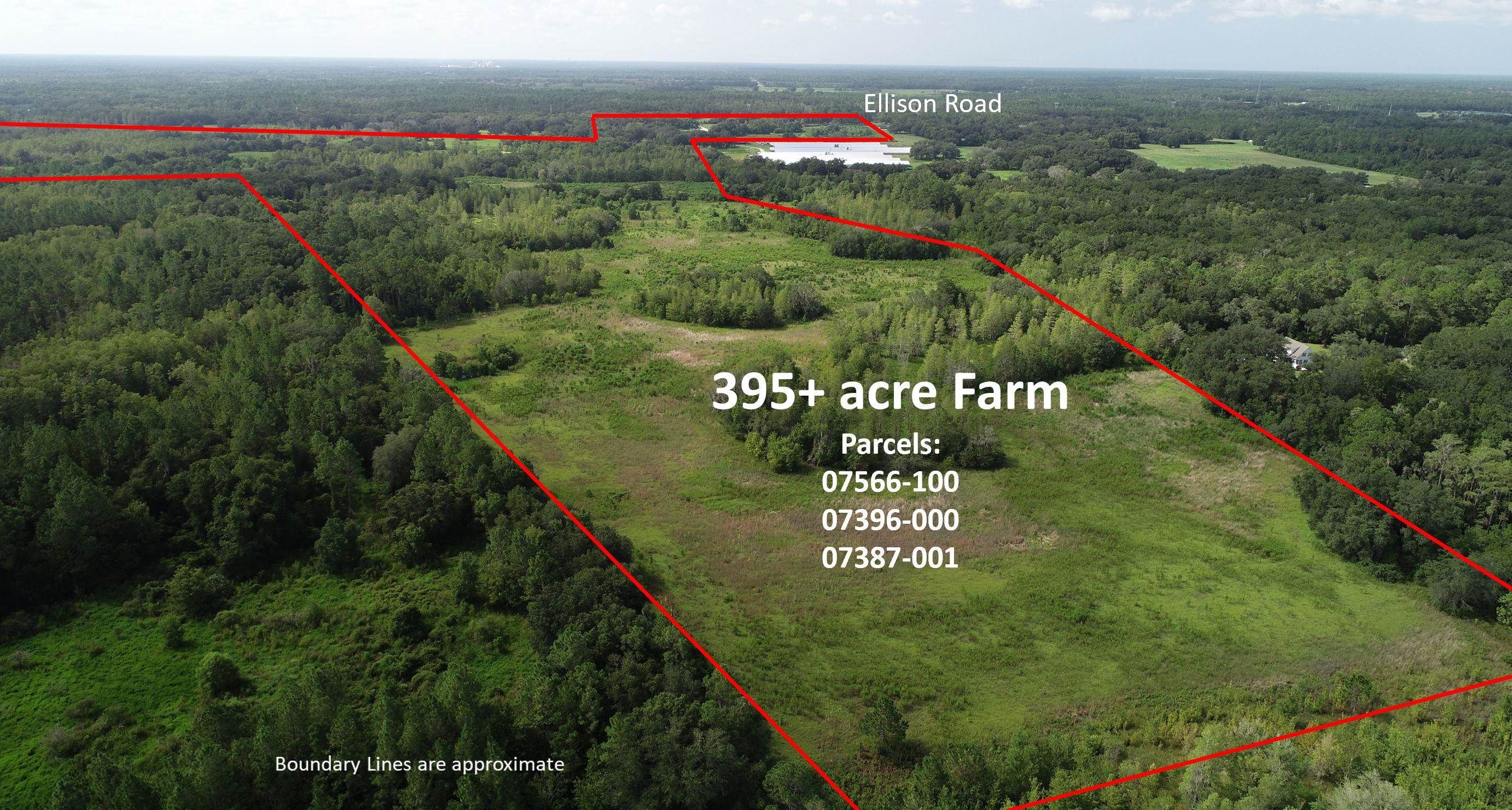 Perry, Taylor County, FL Farms and Ranches, Hunting Property, Horse