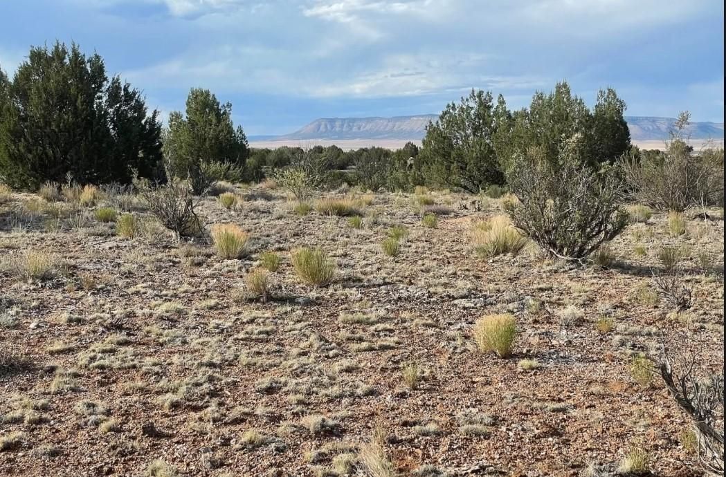 Seligman, Yavapai County, AZ Farms and Ranches, Undeveloped Land