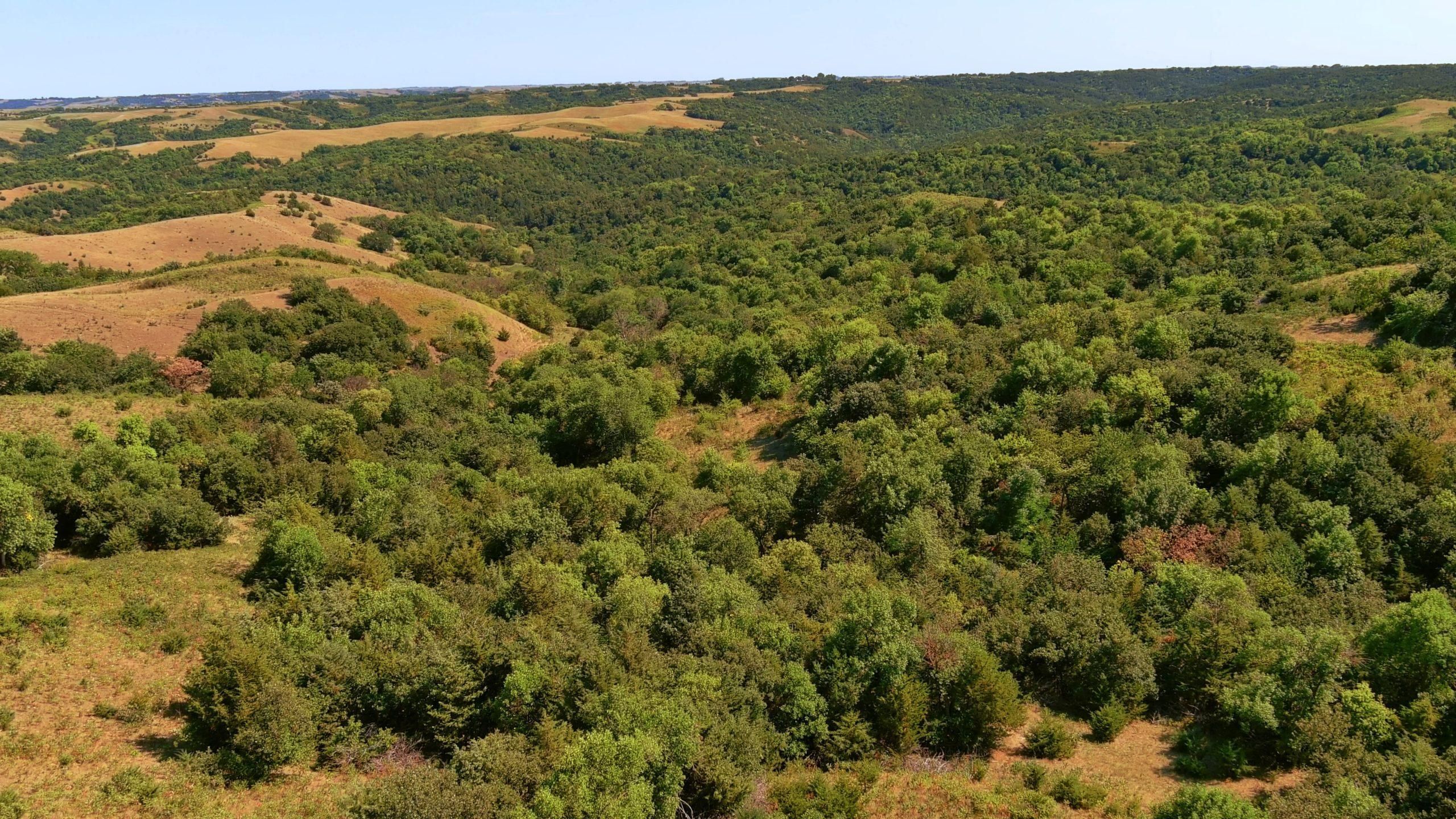 HWY1806 Qualm Ranch, Bonesteel, SD 57317 LandWatch