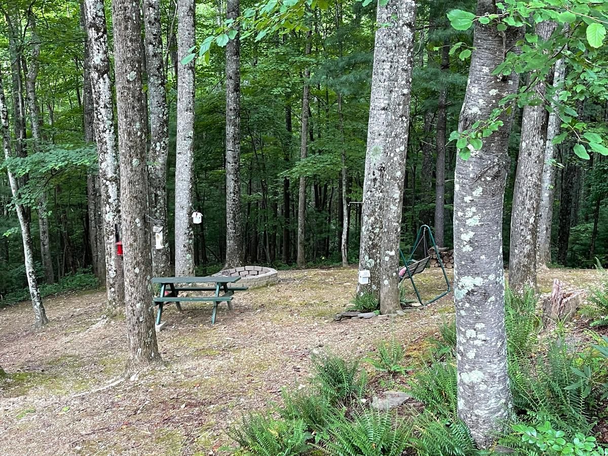 Millers Creek, Wilkes County, NC Recreational Property, Timberland