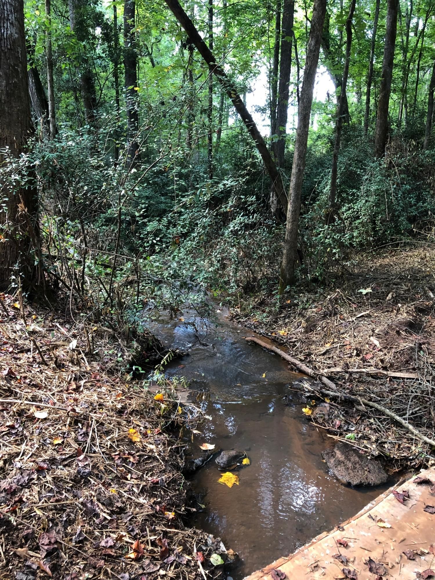 Thomaston, Upson County, GA Recreational Property, Timberland Property