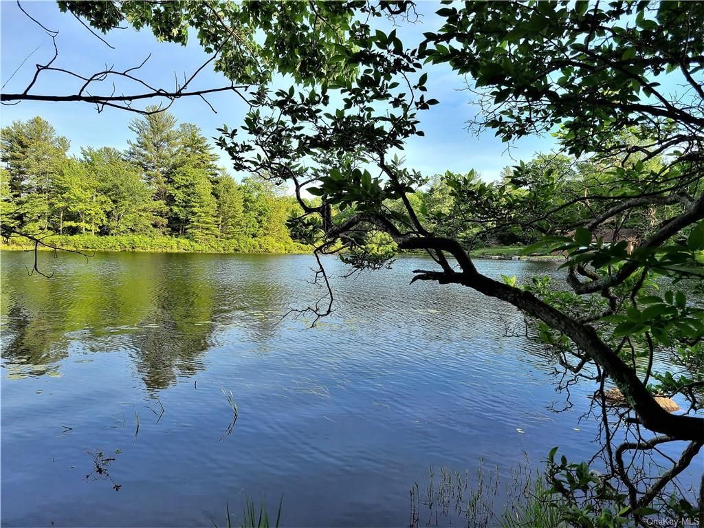 Forestburgh, Sullivan County, NY Undeveloped Land, Lakefront Property