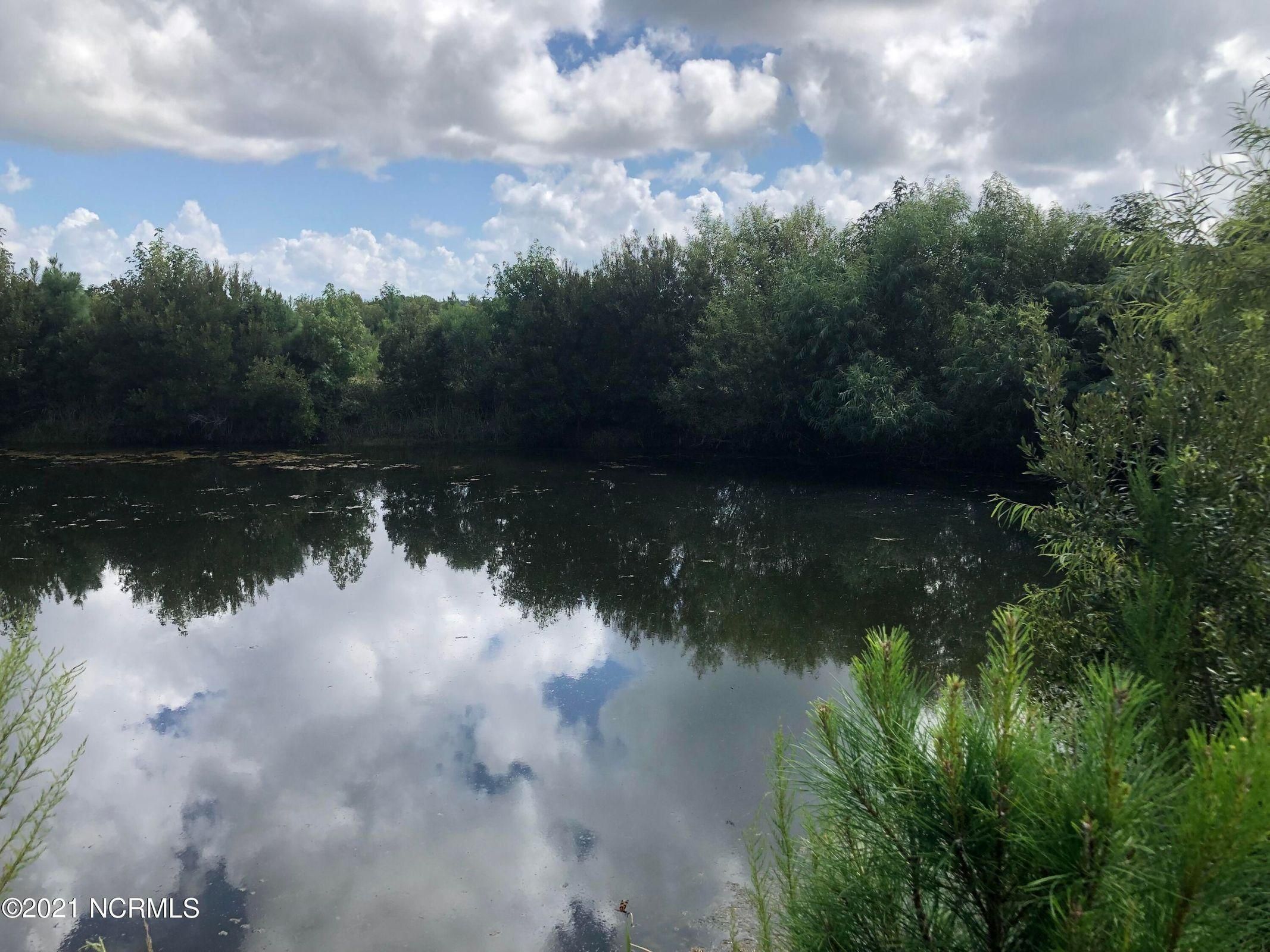 Belhaven, Hyde County, NC Recreational Property, Hunting Property for