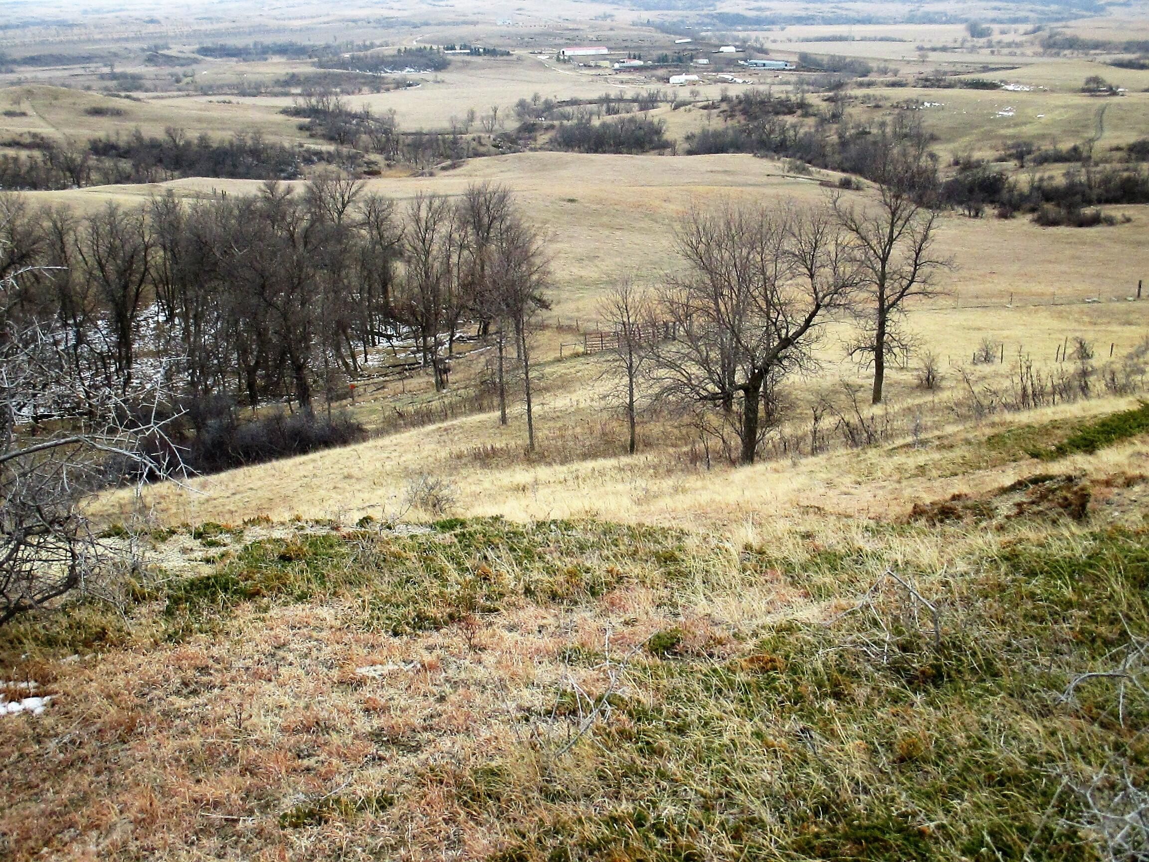 Center, Oliver County, ND Undeveloped Land for sale Property ID