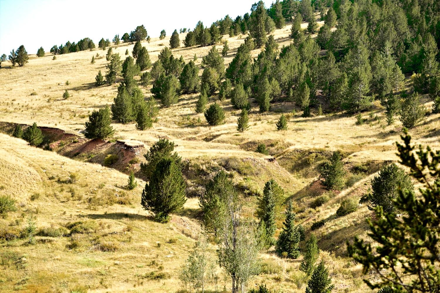 Victor, Teller County, CO Recreational Property, Undeveloped Land, Homesites for sale Property