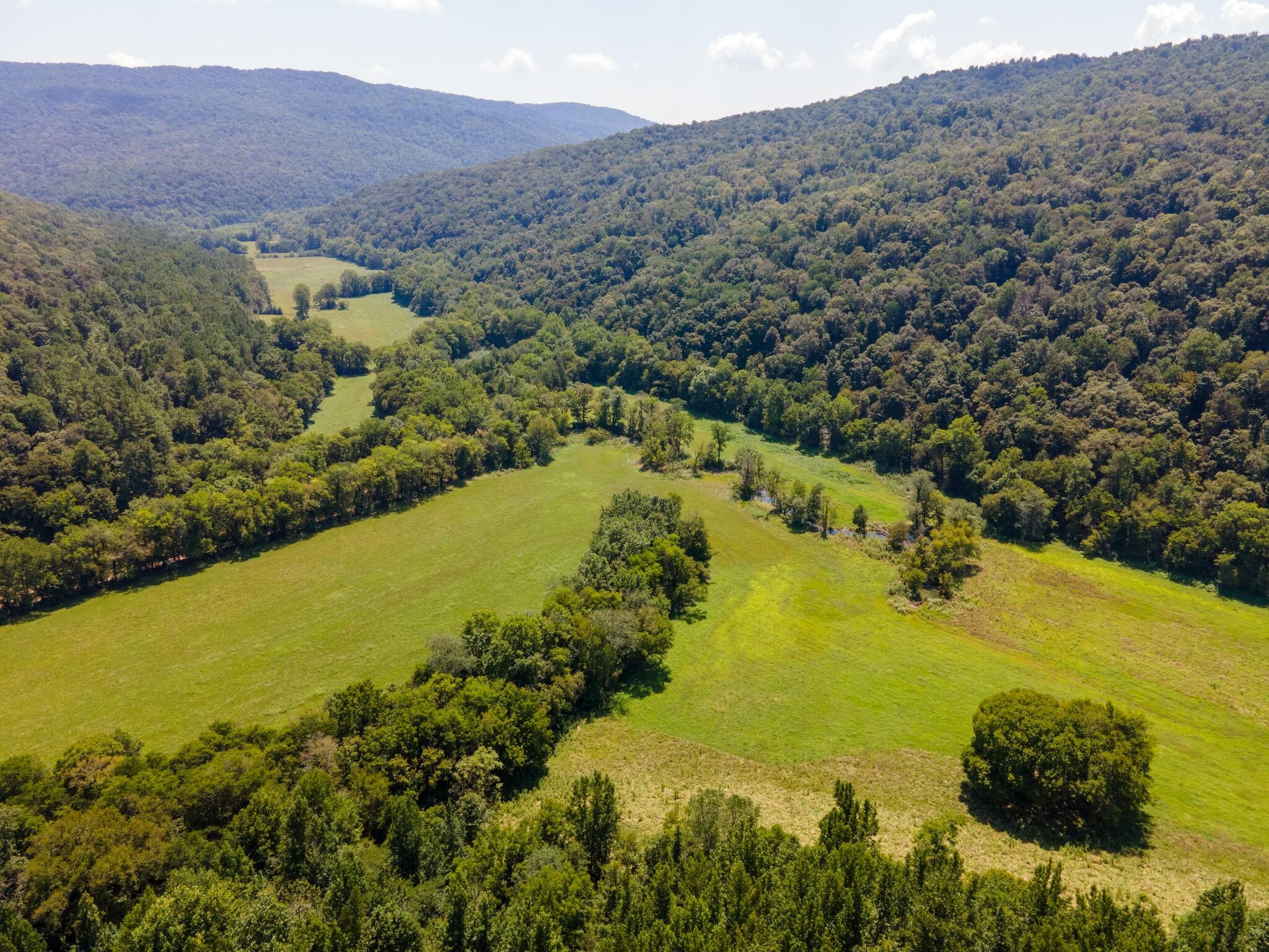 Estillfork, Jackson County, AL Farms and Ranches, Timberland Property