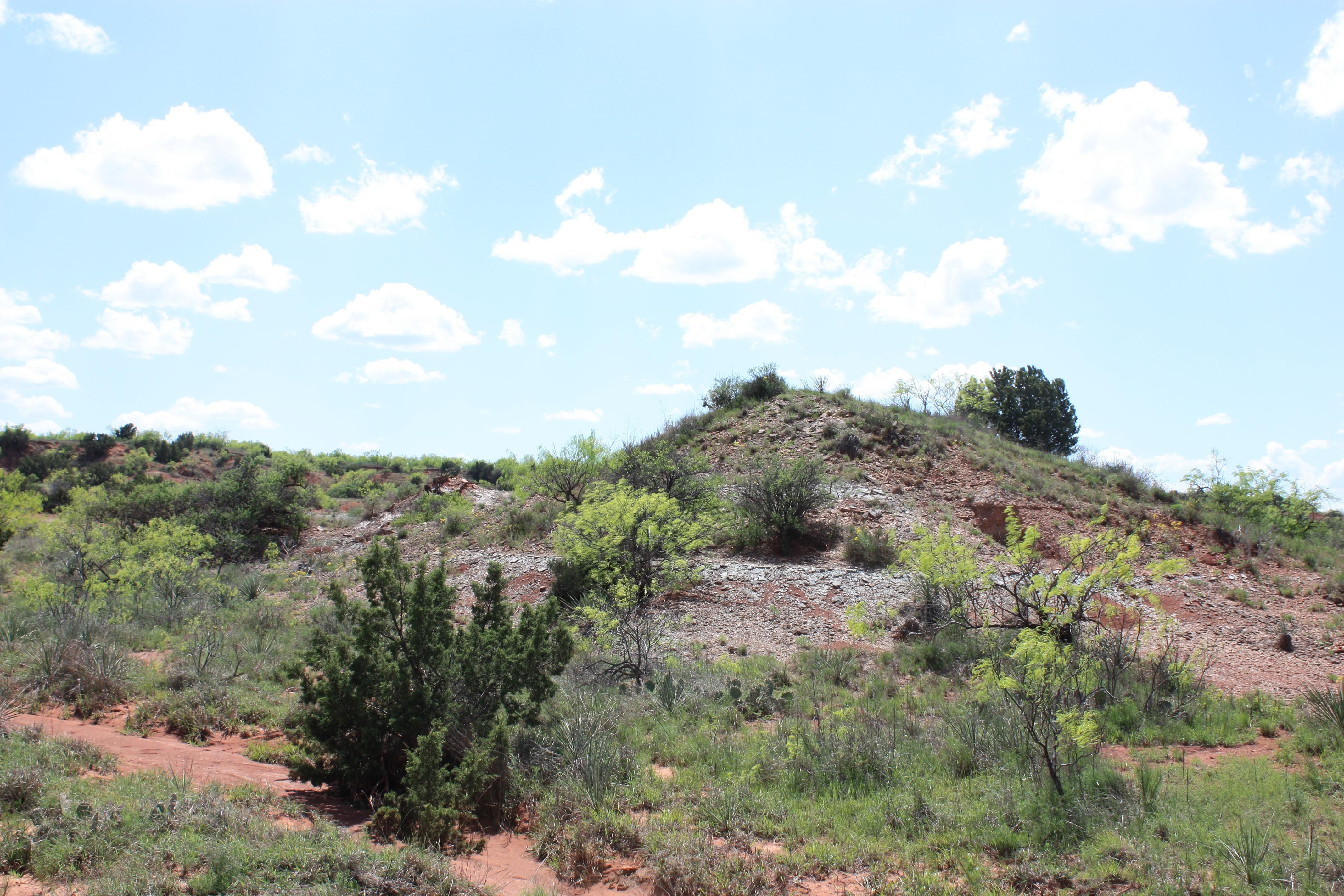 Evans Road, Quanah, TX 79252 MLS 217078 LandWatch