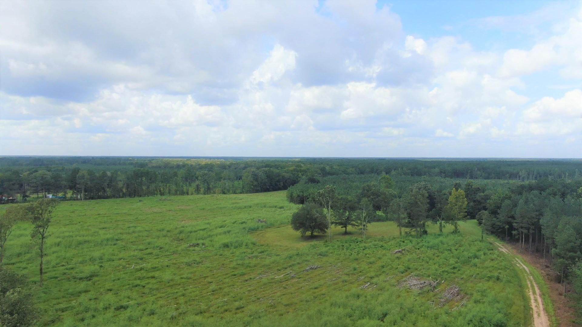 Ridgeville, Dorchester County, SC Recreational Property, Timberland