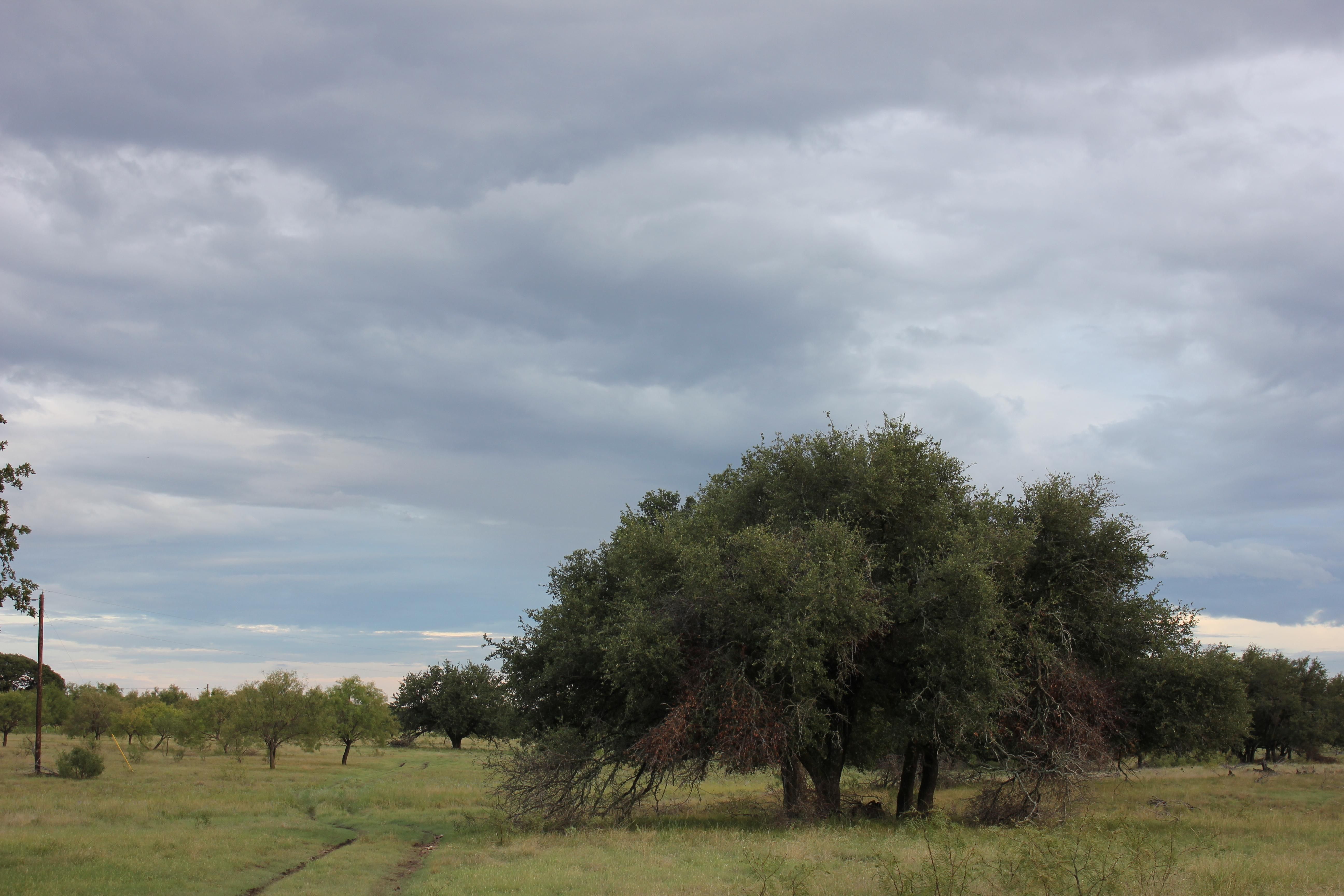 Sonora, Schleicher County, TX Farms and Ranches, Recreational Property