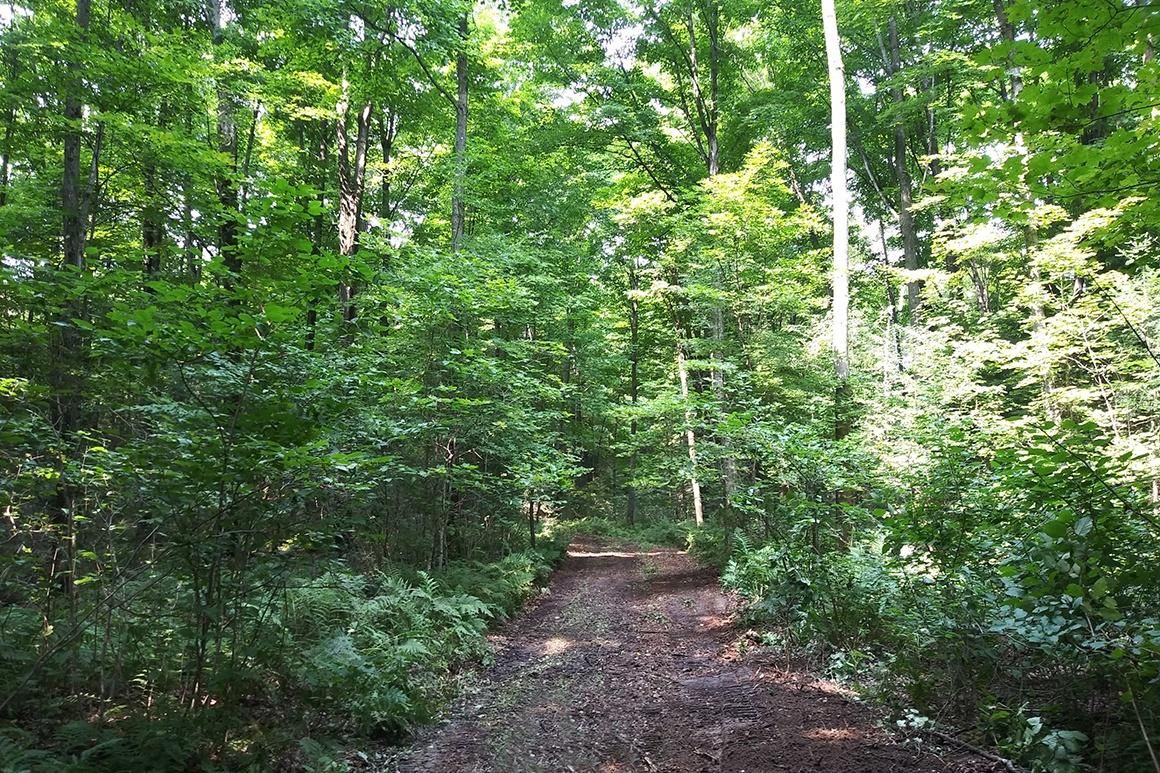 Crandon, Forest County, WI Recreational Property, Hunting Property